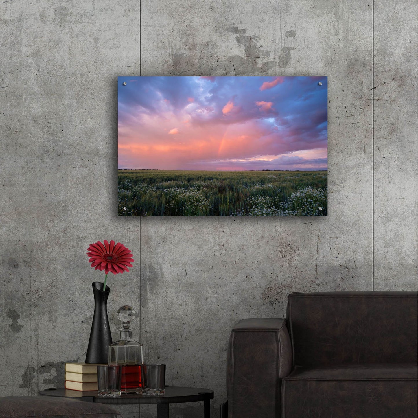 Epic Art 'Prairie Sunset 1' by Joe Reimer Photography, Acrylic Glass Wall Art,36x24