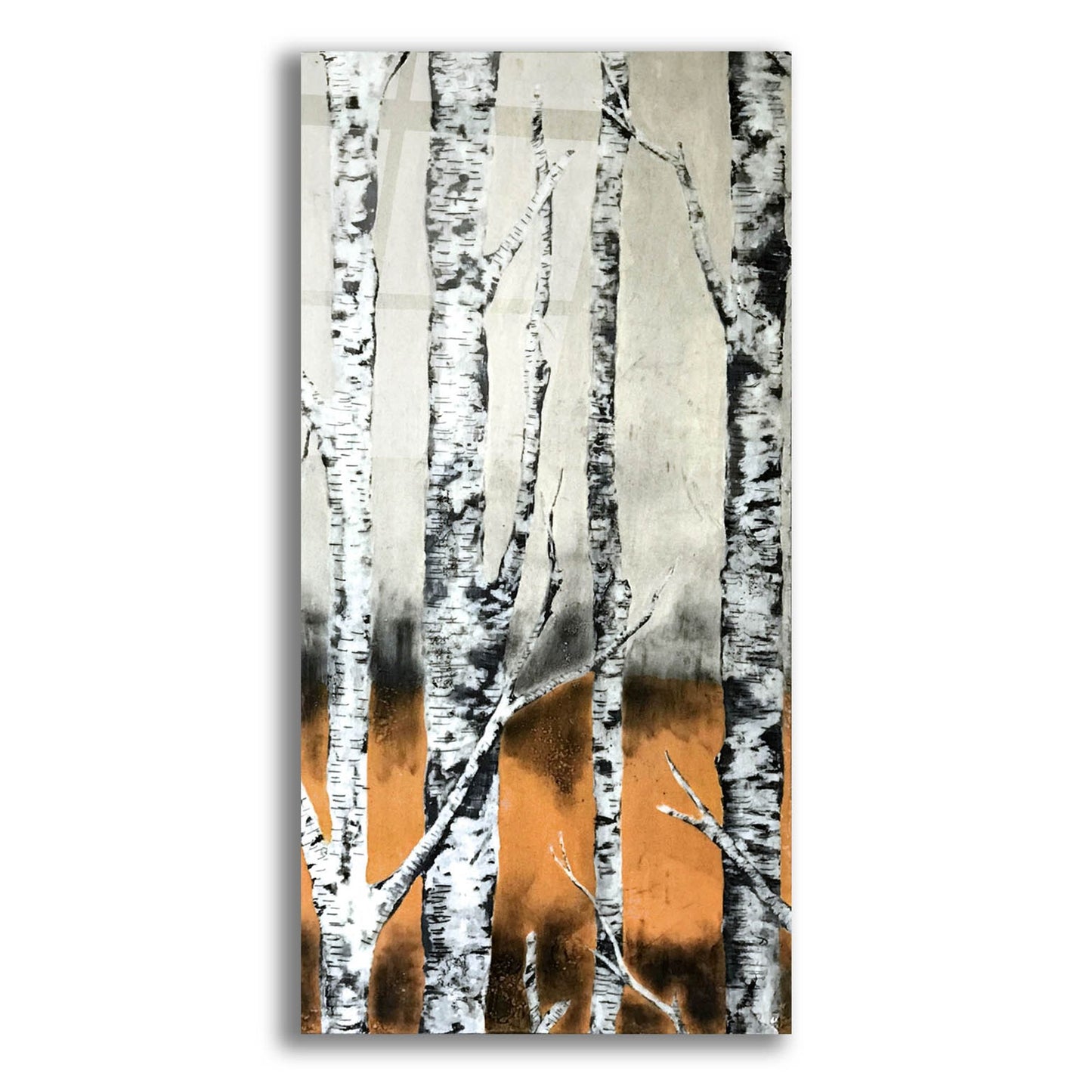 Epic Art 'Summer Birch' by LovIsArt, Acrylic Glass Wall Art,24x48