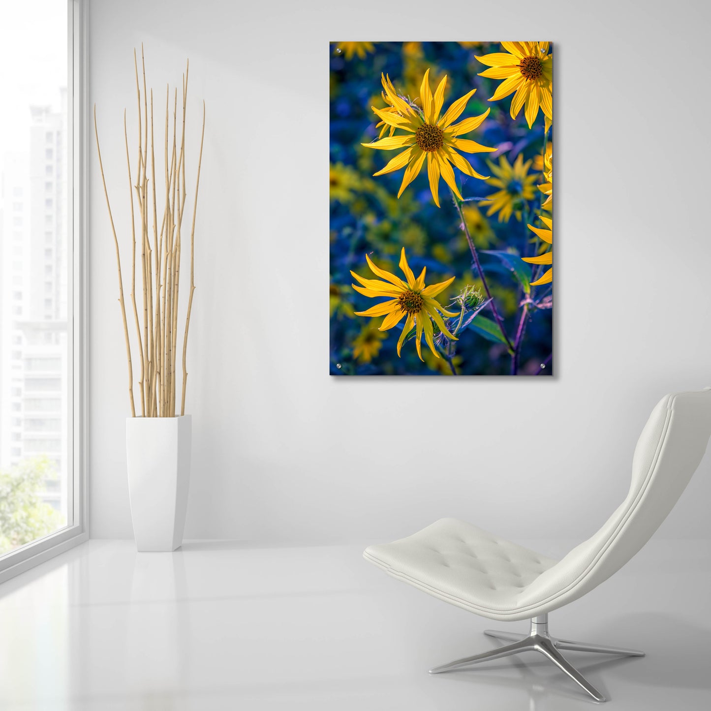 Epic Art 'Helianthus Giganteus II' by Rick Berk, Acrylic Glass Wall Art,24x36