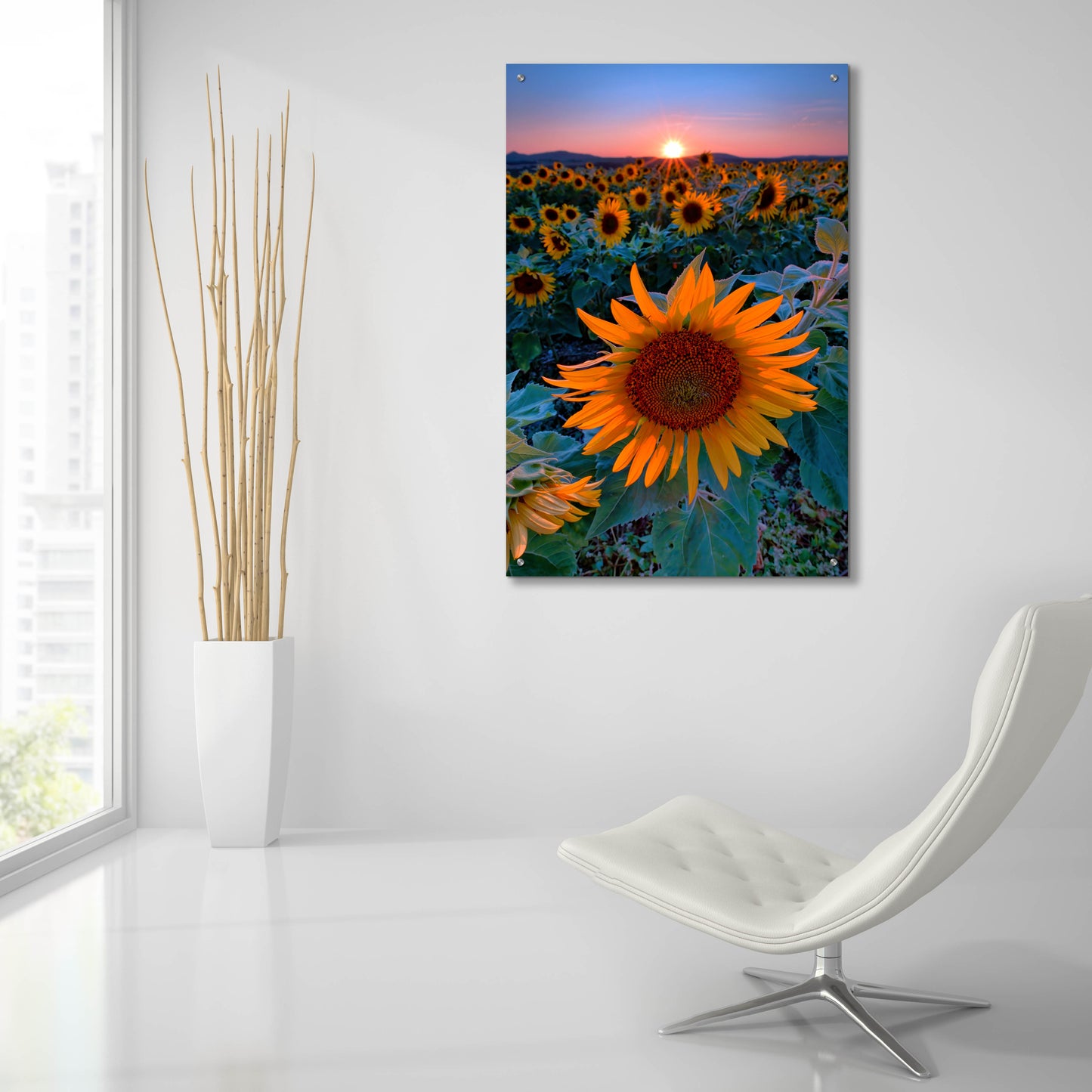 Epic Art 'Sunflower Sunset' by Rick Berk, Acrylic Glass Wall Art,24x36