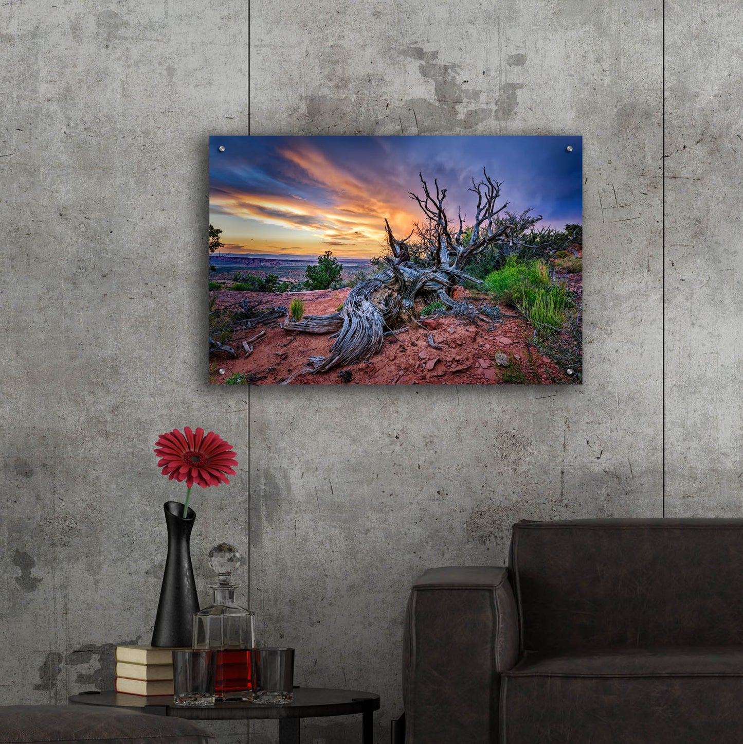 Epic Art 'Bristlecone Sunset' by Rick Berk, Acrylic Glass Wall Art,36x24