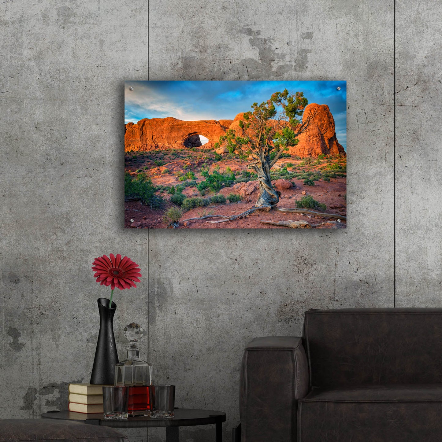 Epic Art 'The Windows' by Rick Berk, Acrylic Glass Wall Art,36x24