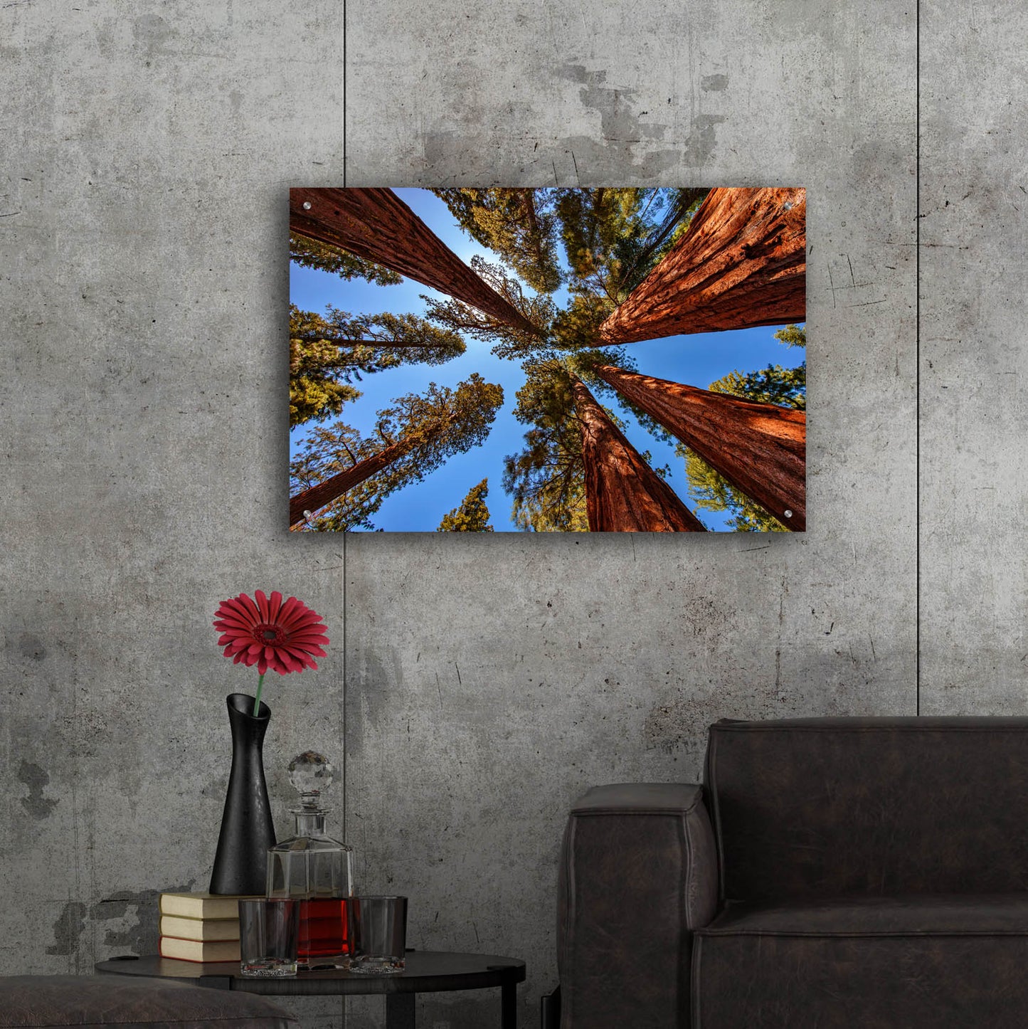 Epic Art 'The Bachelor and the Three Graces' by Rick Berk, Acrylic Glass Wall Art,36x24