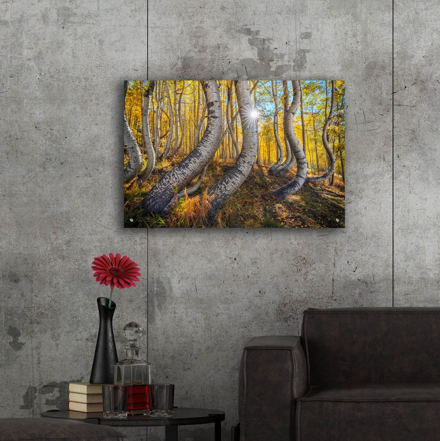 Epic Art 'Dance Of The Aspens' by Rick Berk, Acrylic Glass Wall Art,36x24