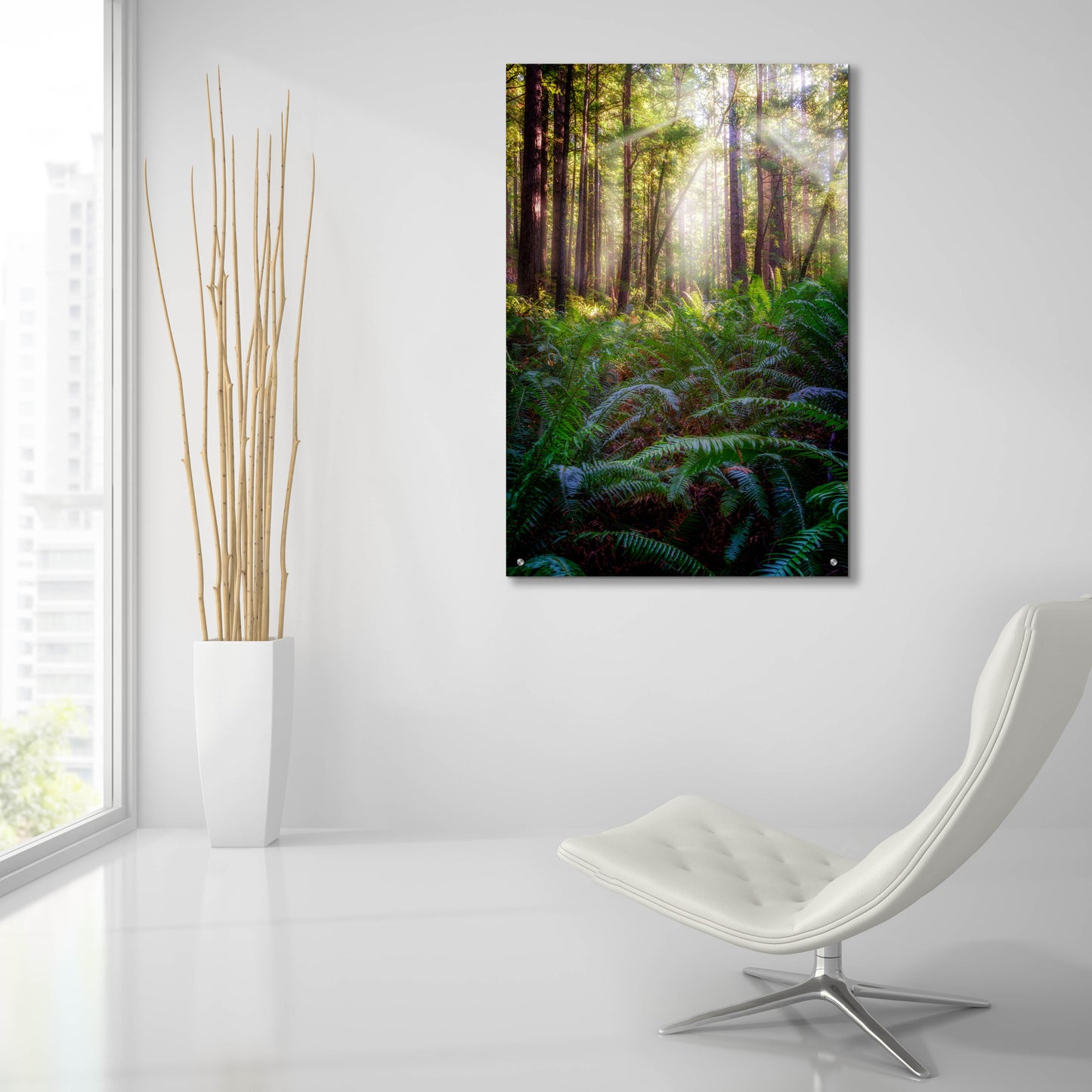 Epic Art 'Oregon Redwoods' by Rick Berk, Acrylic Glass Wall Art,24x36