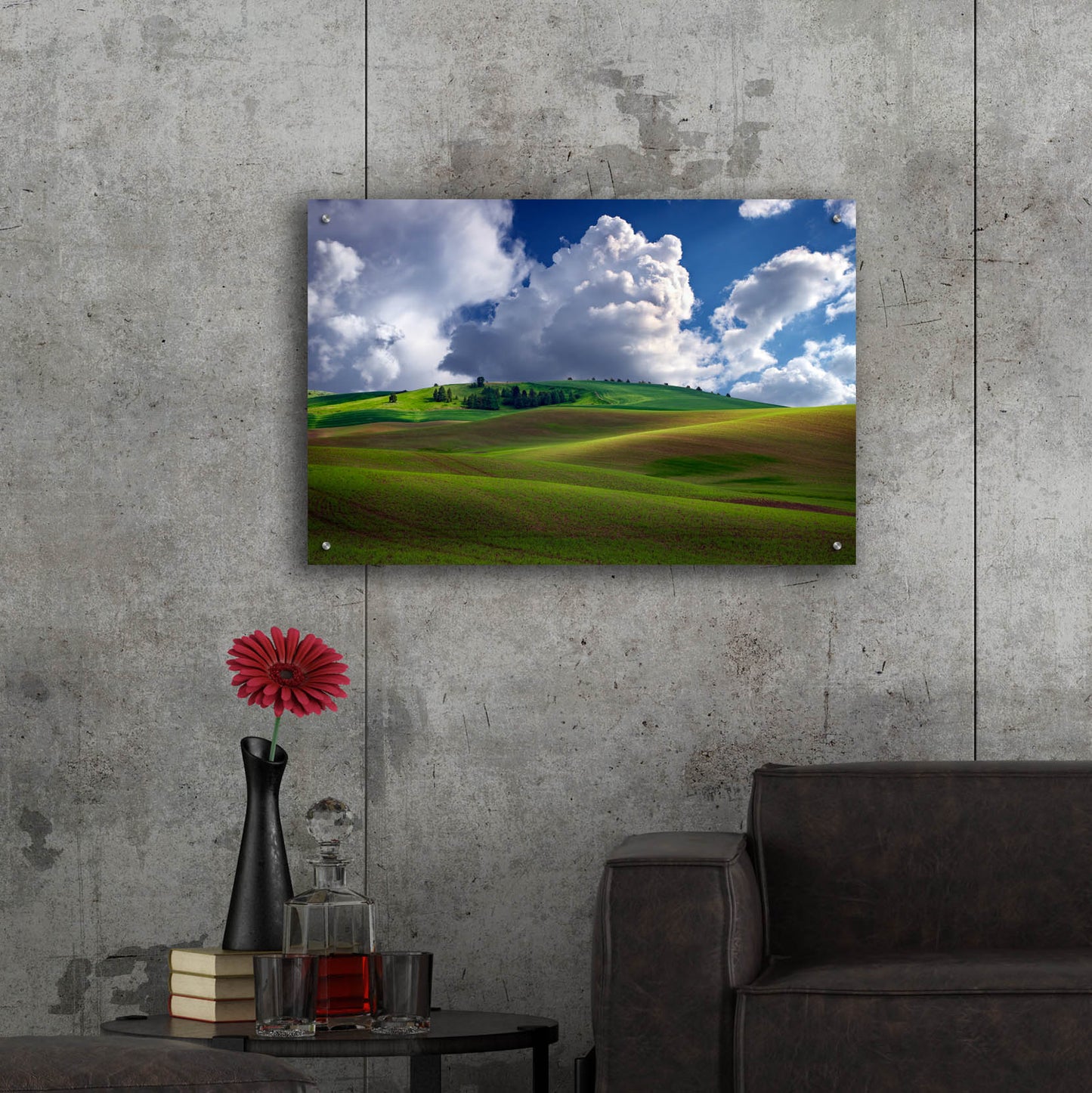 Epic Art 'Afternoon Bliss in the Palouse' by Rick Berk, Acrylic Glass Wall Art,36x24