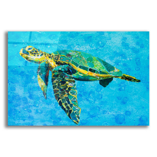 Epic Art 'Floating Sea Turtle' by St. Hilaire Elizabeth, Acrylic Glass Wall Art