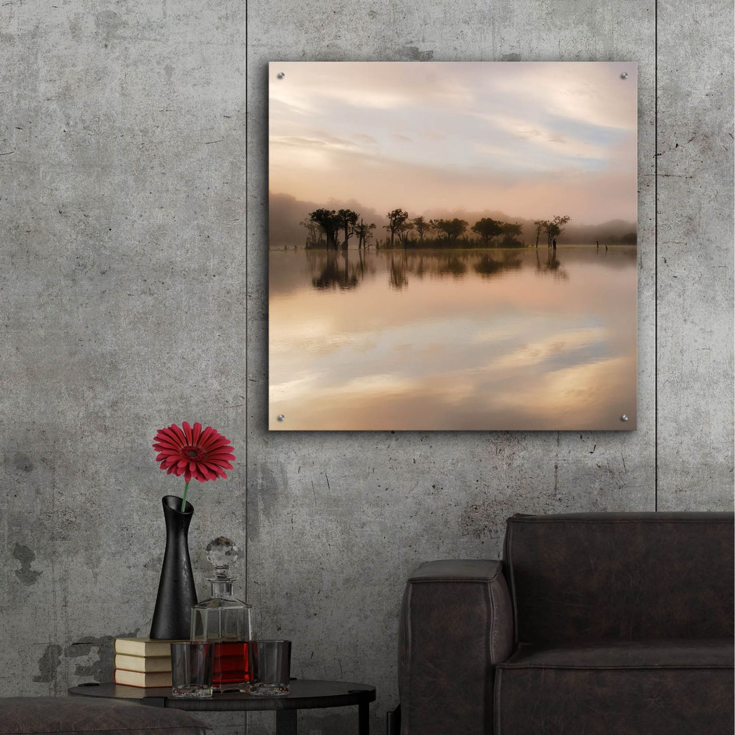 Epic Art 'Dawn Mist on the Amazon' by Andy Mumford, Acrylic Glass Wall Art,36x36