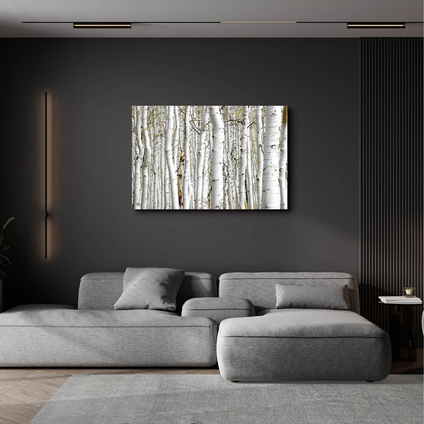 Epic Art 'Birch Wood' by Photoinc Studio, Acrylic Glass Wall Art,36x24