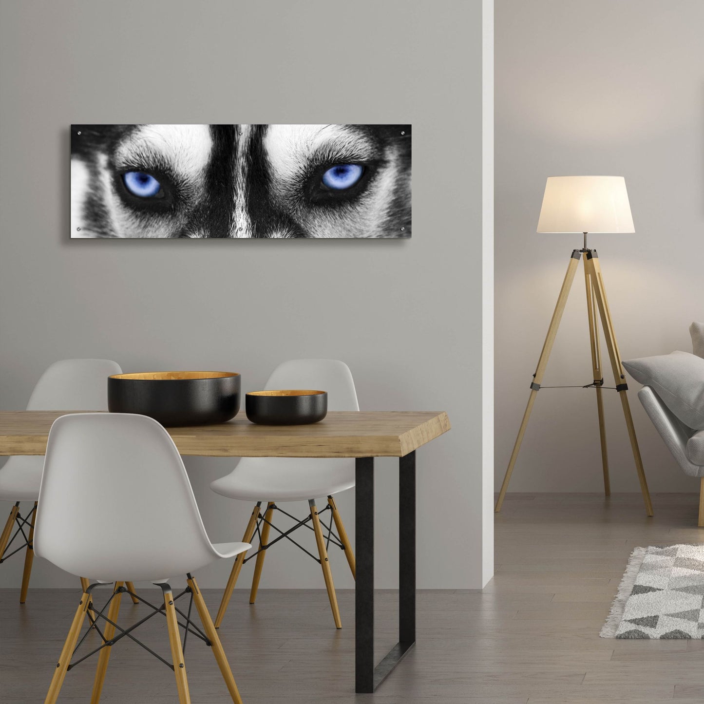 Epic Art 'Husky' by Photoinc Studio, Acrylic Glass Wall Art,48x16