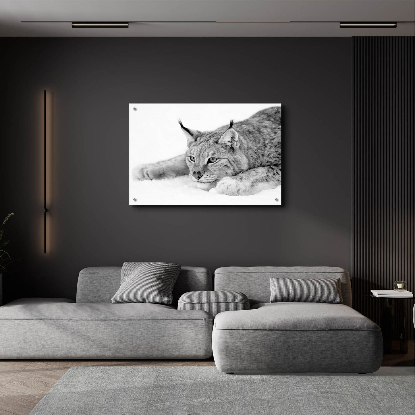 Epic Art 'Lynx 1' by Photoinc Studio, Acrylic Glass Wall Art,36x24