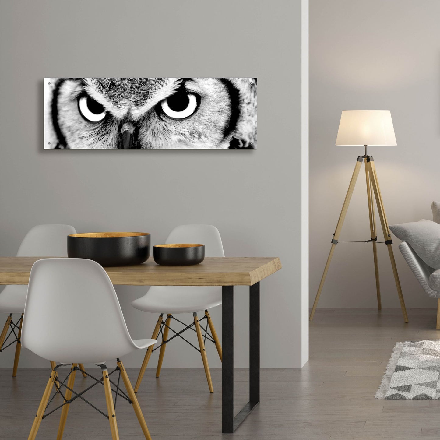 Epic Art 'Owl' by Photoinc Studio, Acrylic Glass Wall Art,48x16