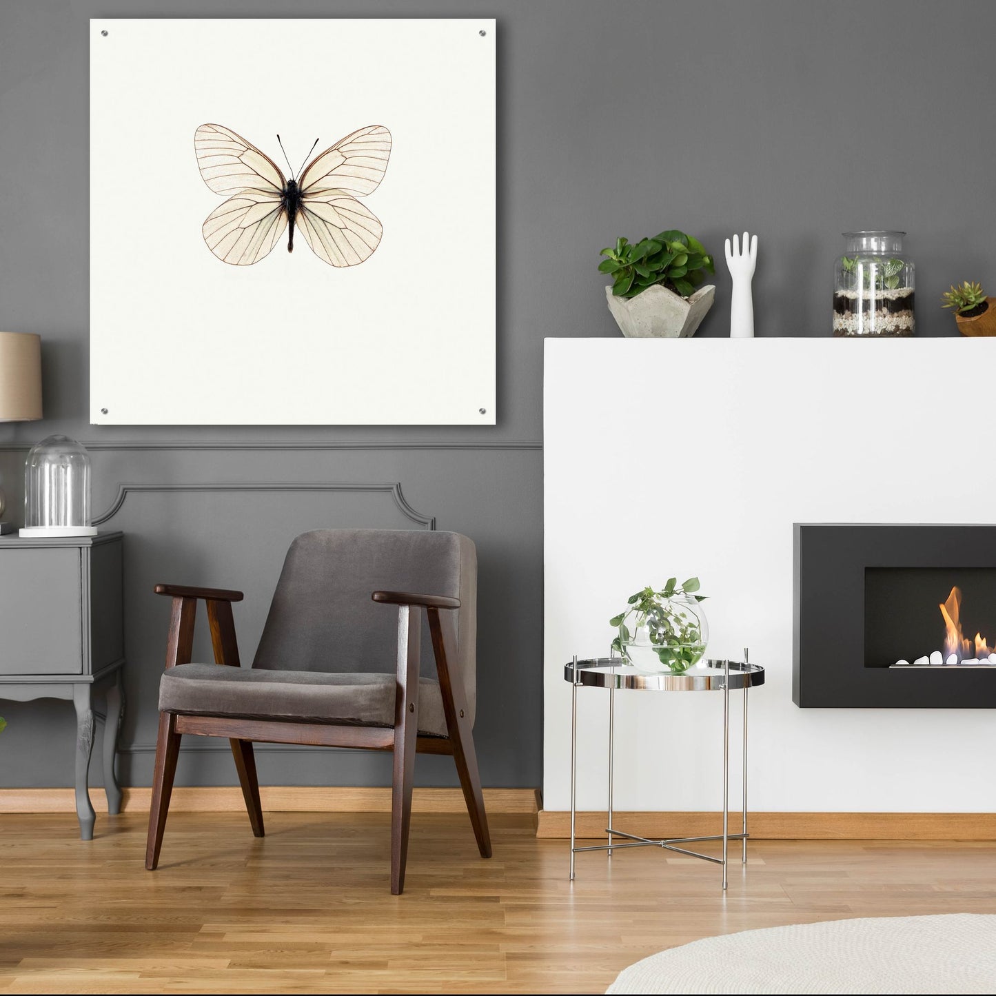 Epic Art 'White Butterfly' by Photoinc Studio, Acrylic Glass Wall Art,36x36