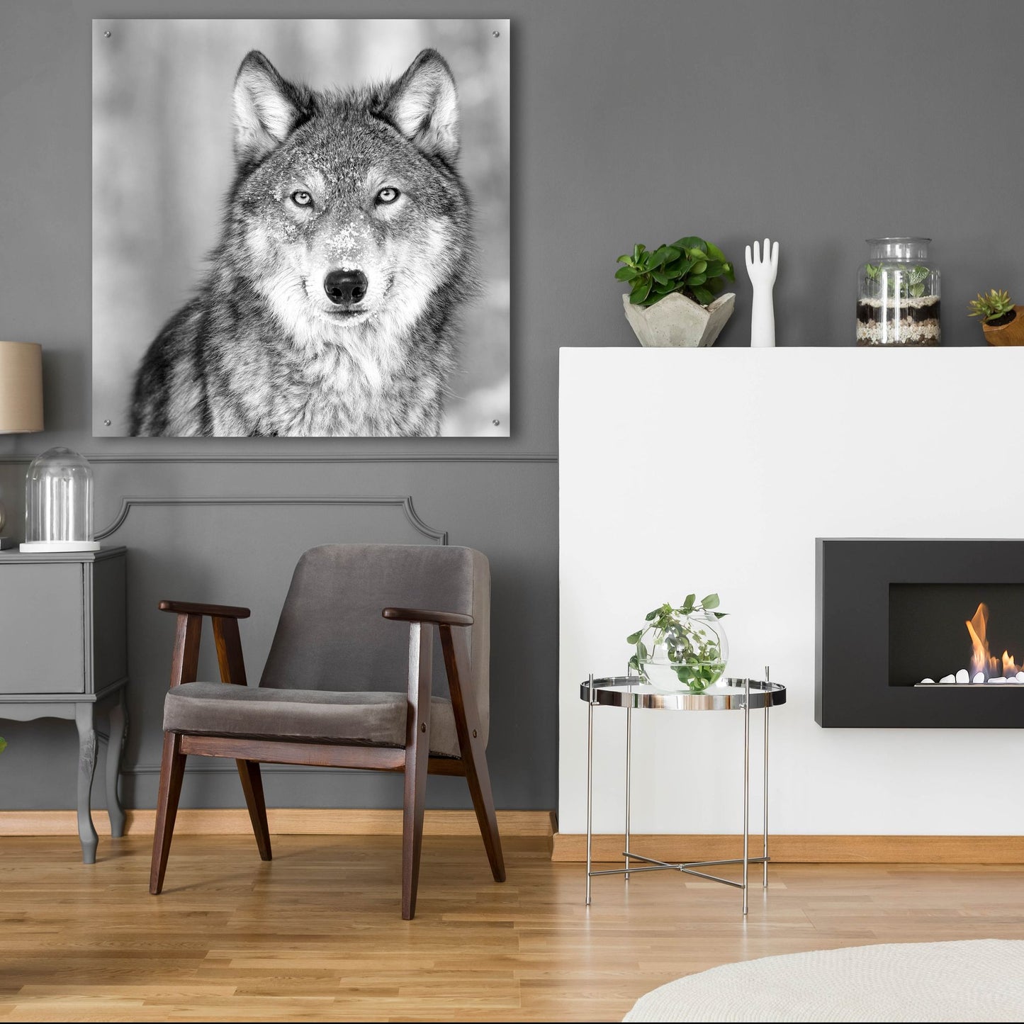 Epic Art 'Wolf' by Photoinc Studio, Acrylic Glass Wall Art,36x36