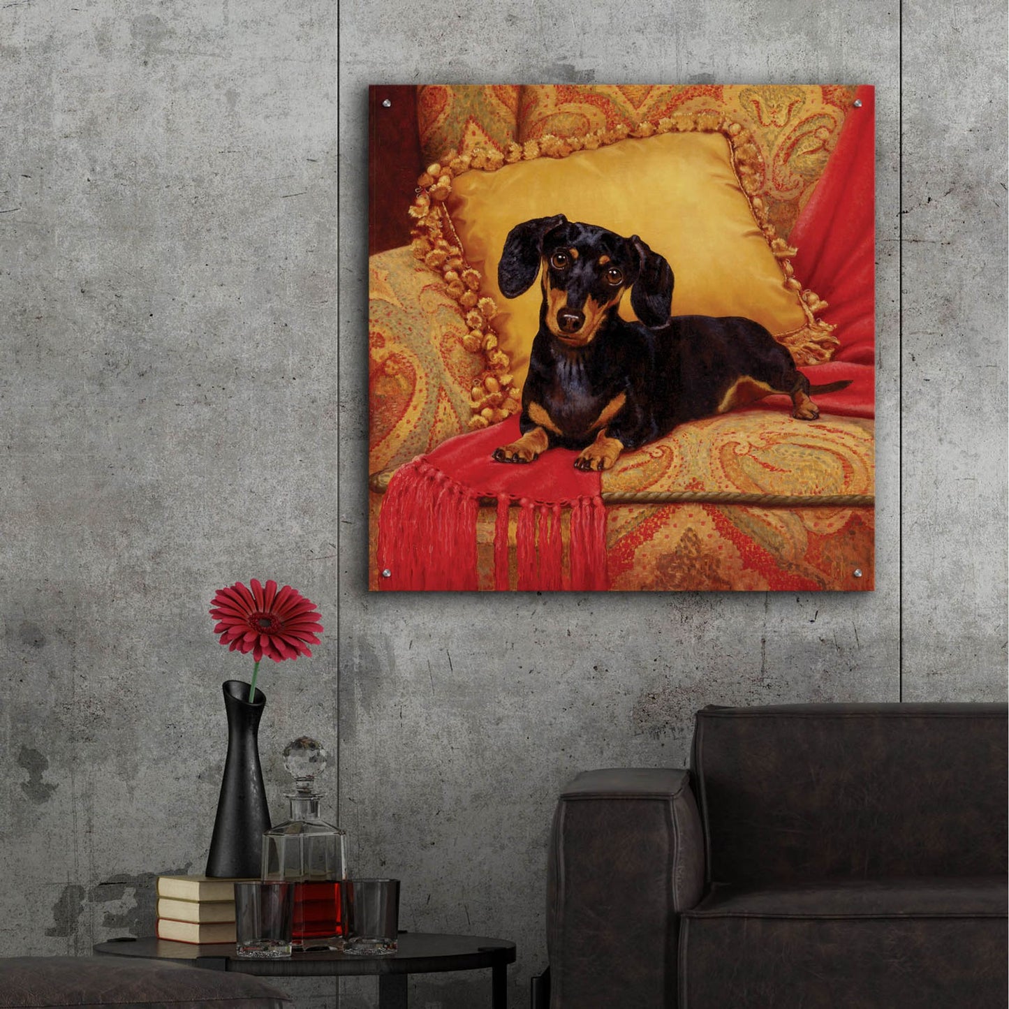 Epic Art 'Comfy' by Christopher Nick, Acrylic Glass Wall Art,36x36