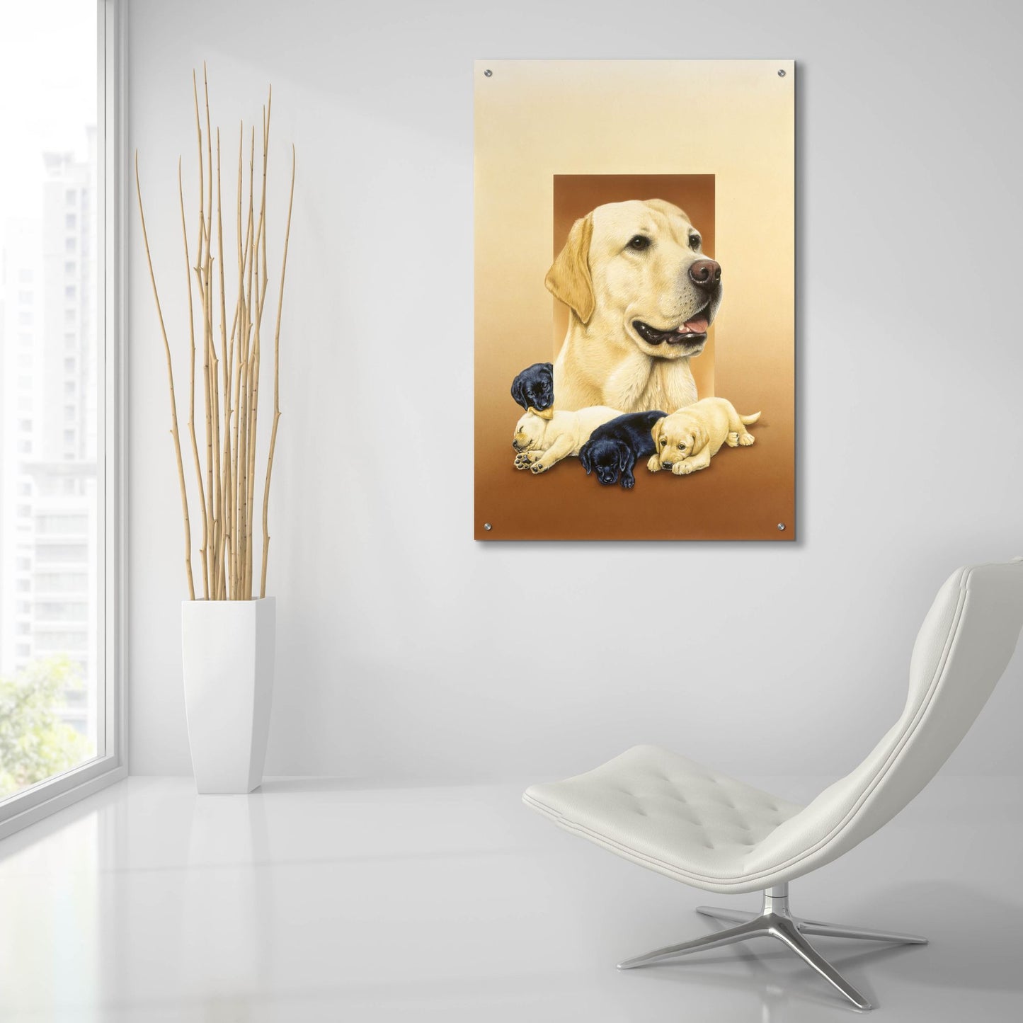 Epic Art 'Labradors' by Harro Maass, Acrylic Glass Wall Art,24x36