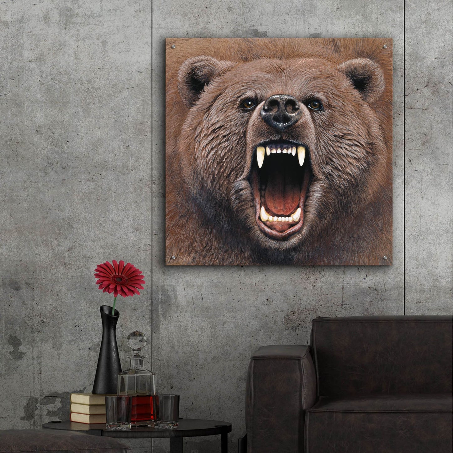 Epic Art 'Bear 2' by Harro Maass, Acrylic Glass Wall Art,36x36