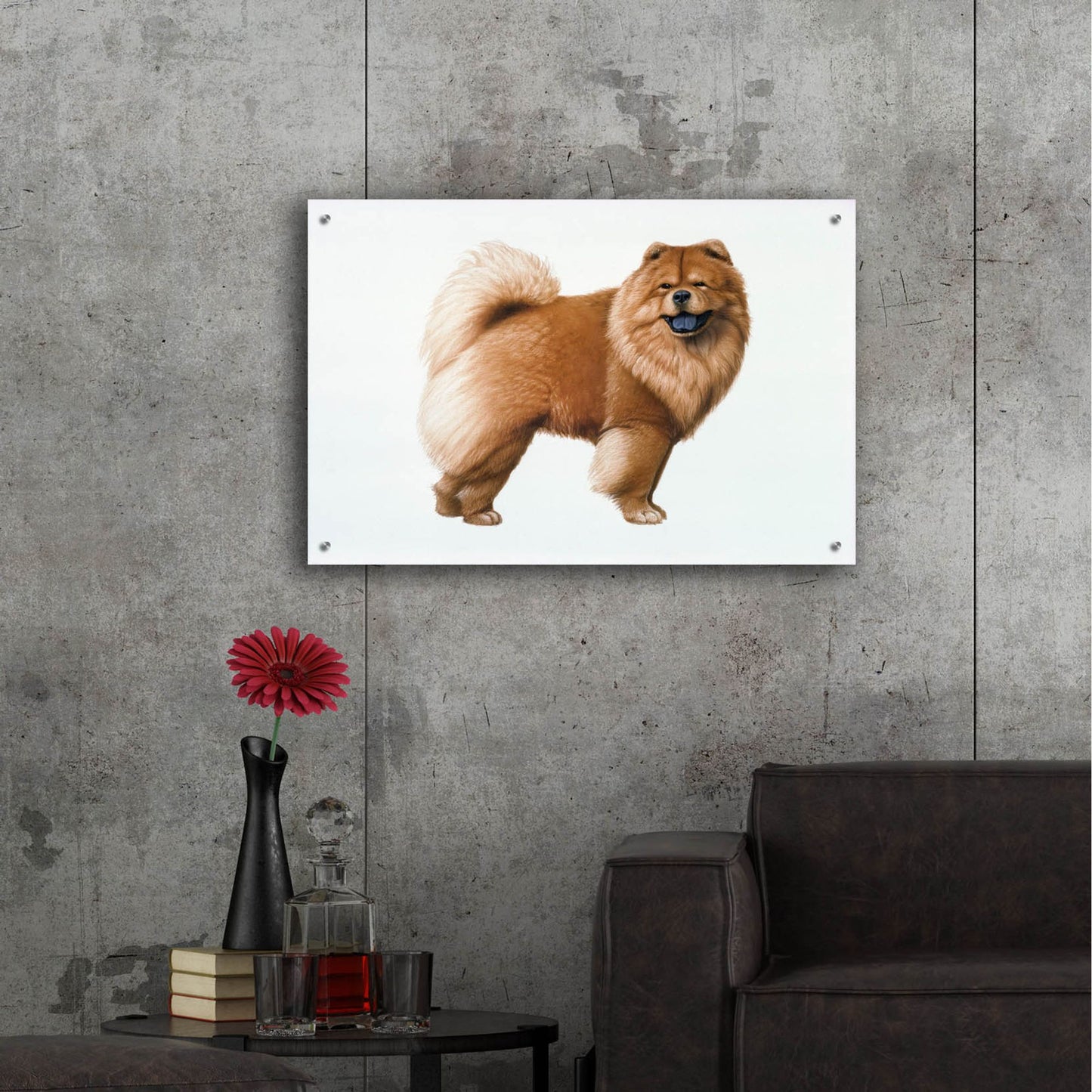 Epic Art 'Chow Chow' by Harro Maass, Acrylic Glass Wall Art,36x24