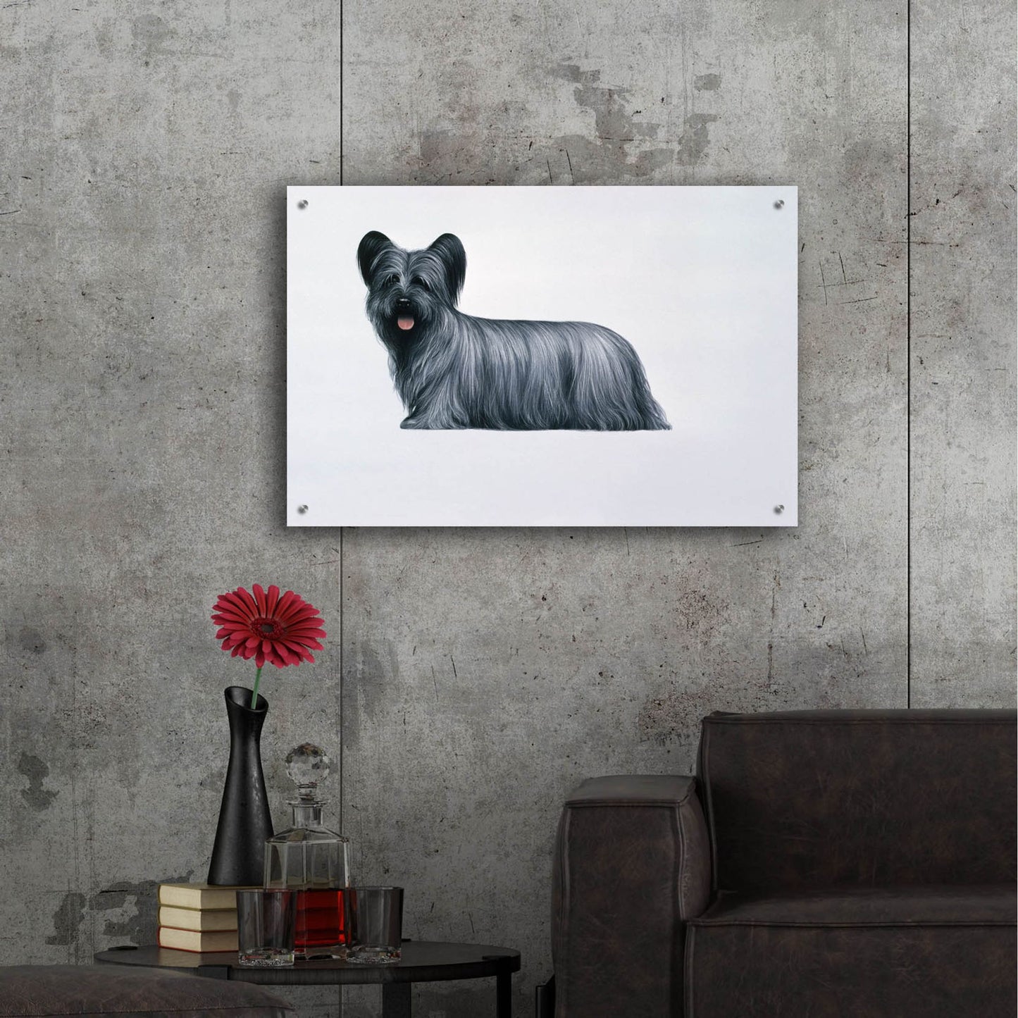 Epic Art 'Sky Terrier' by Harro Maass, Acrylic Glass Wall Art,36x24