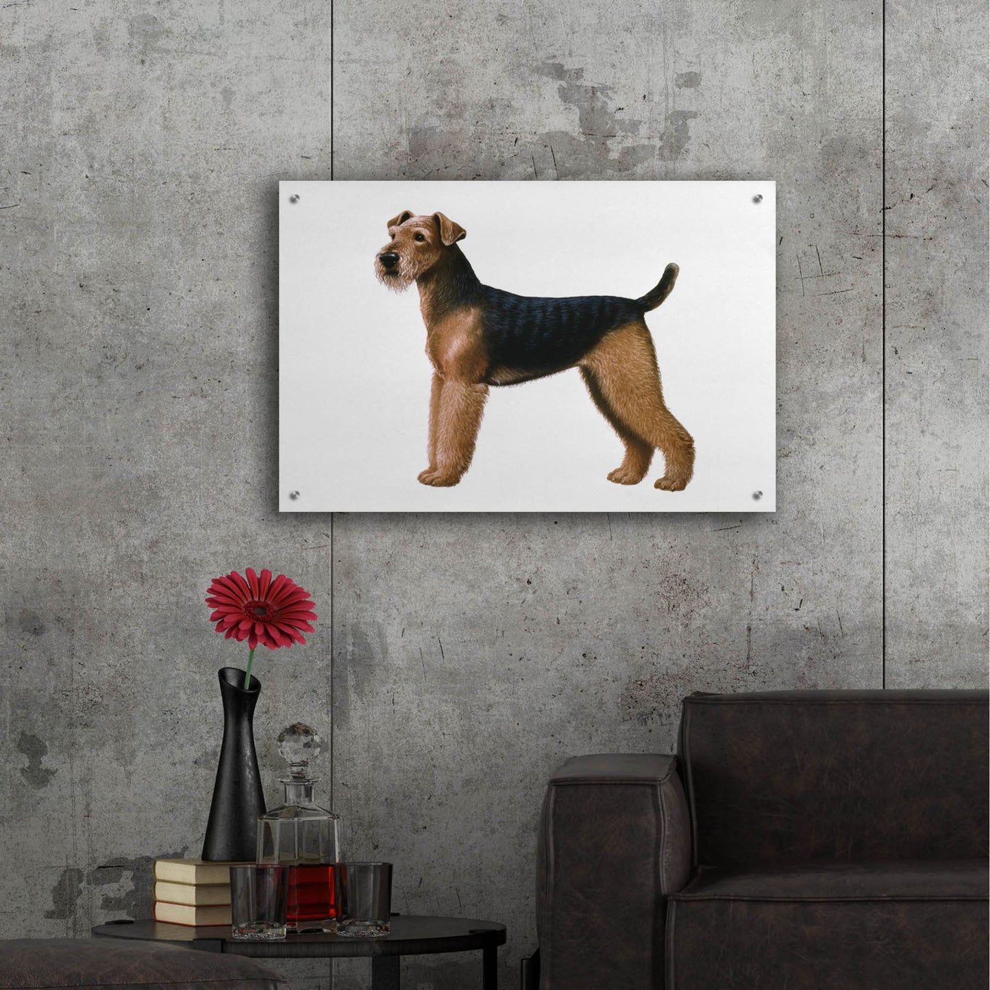 Epic Art 'Airdale Terrier' by Harro Maass, Acrylic Glass Wall Art,36x24
