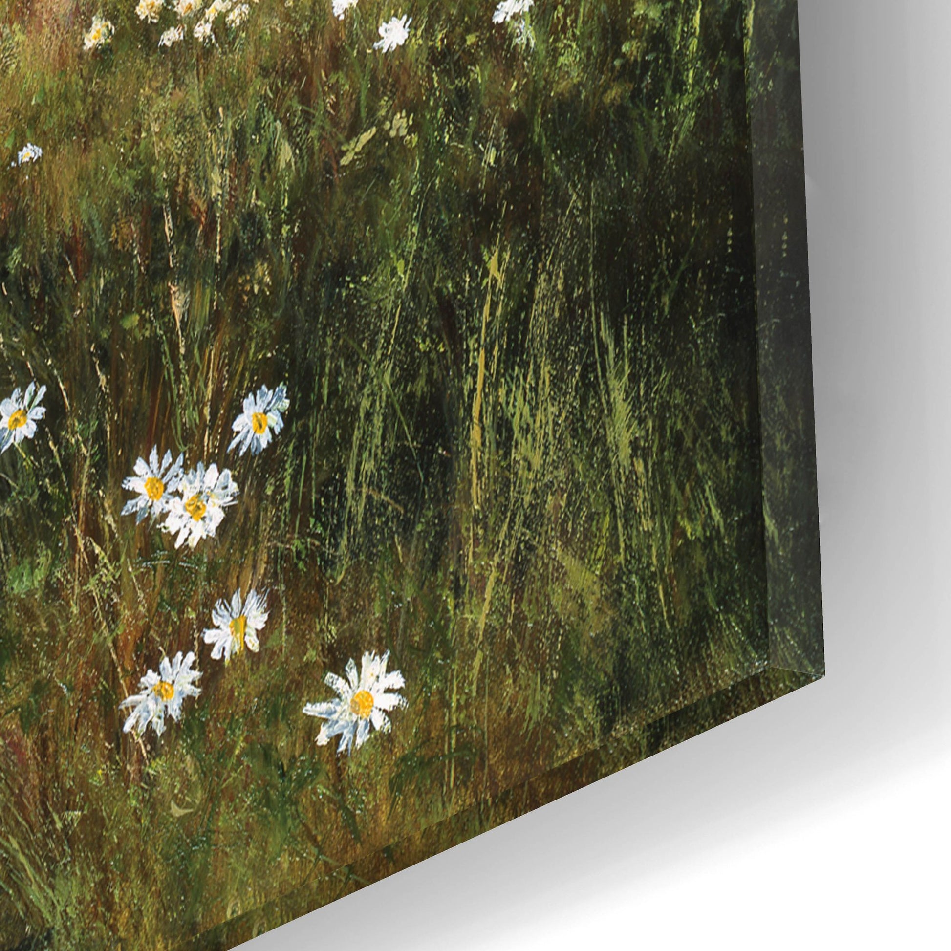 Epic Art 'Beeches And Daisies' by Bill Makinson, Acrylic Glass Wall Art,16x12