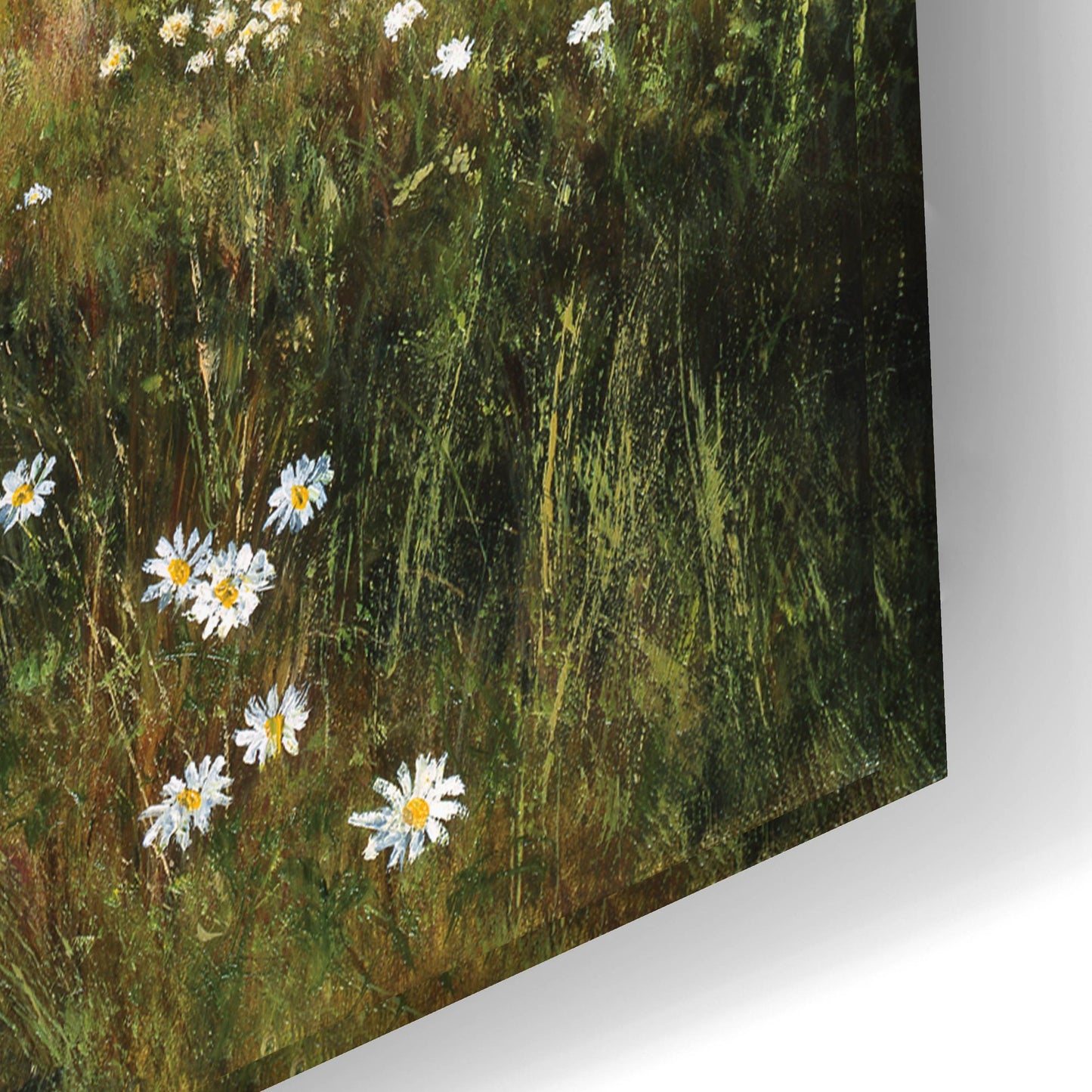Epic Art 'Beeches And Daisies' by Bill Makinson, Acrylic Glass Wall Art,24x16