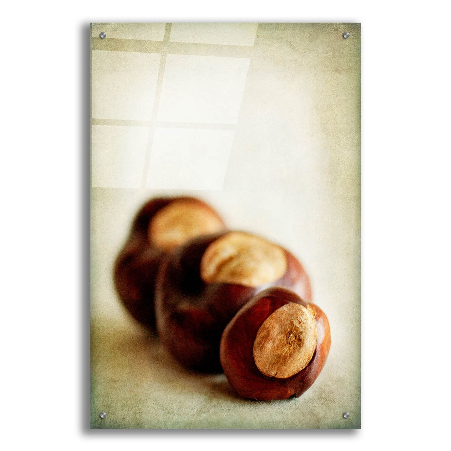 Epic Art 'Buckeyes' by Jessica Rogers, Acrylic Glass Wall Art