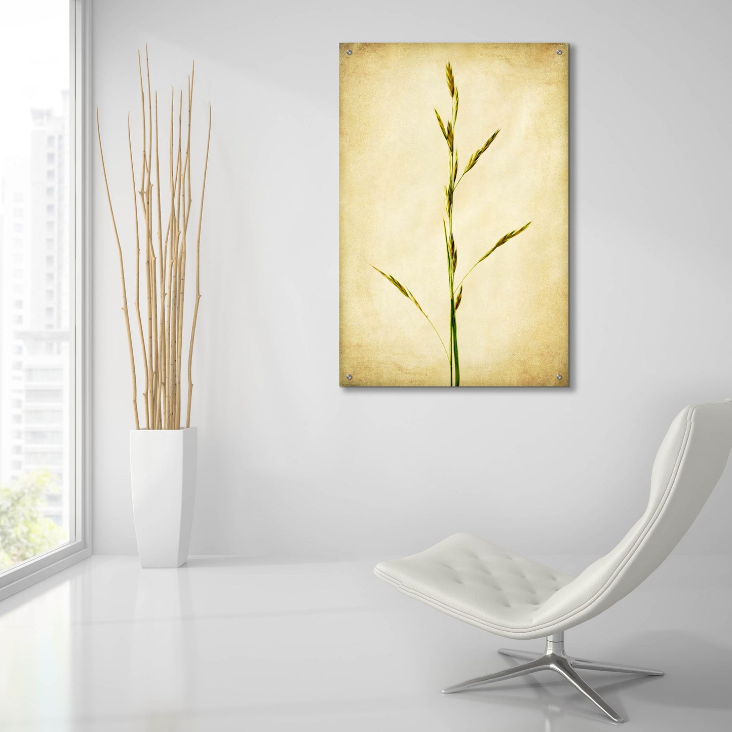 Epic Art 'Grasses 1' by Jessica Rogers, Acrylic Glass Wall Art,24x36
