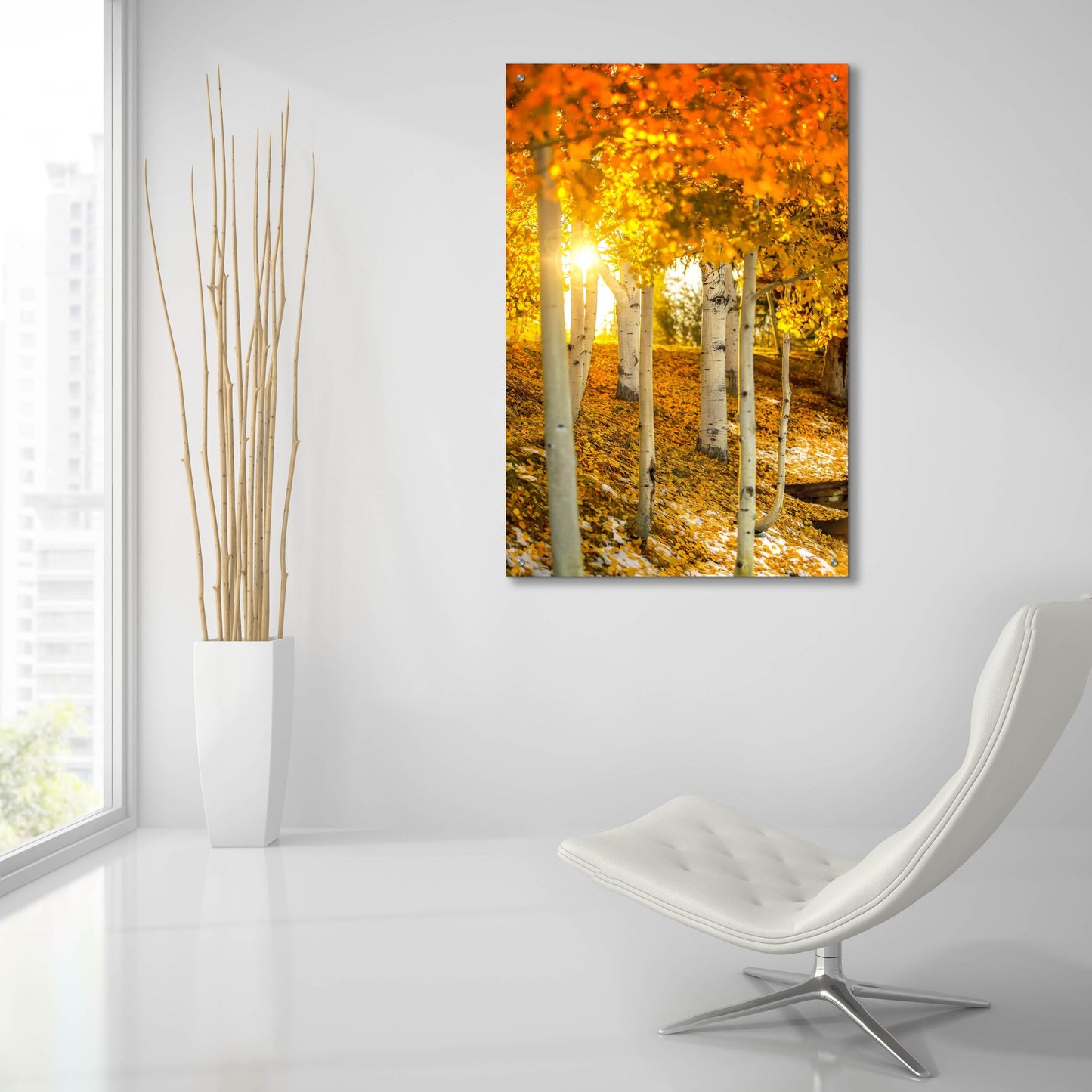 Epic Art 'Aspen Glow' by Jonathan Ross, Acrylic Glass Wall Art,24x36