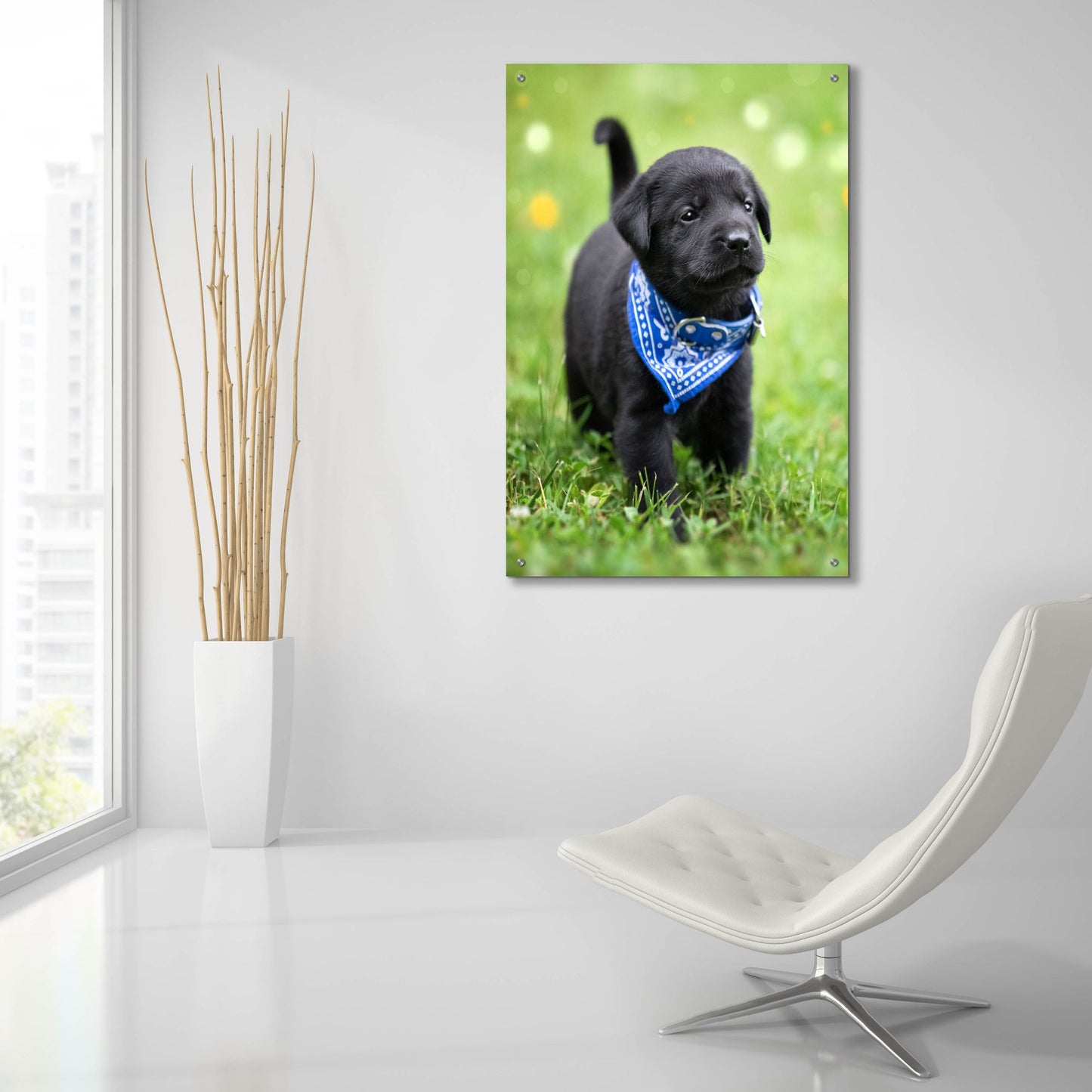 Epic Art 'Black Lab Pup 1' by Jonathan Ross, Acrylic Glass Wall Art,24x36