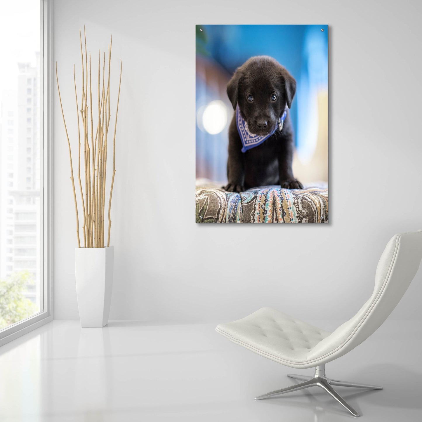 Epic Art 'Black Lab Pup 12' by Jonathan Ross, Acrylic Glass Wall Art,24x36