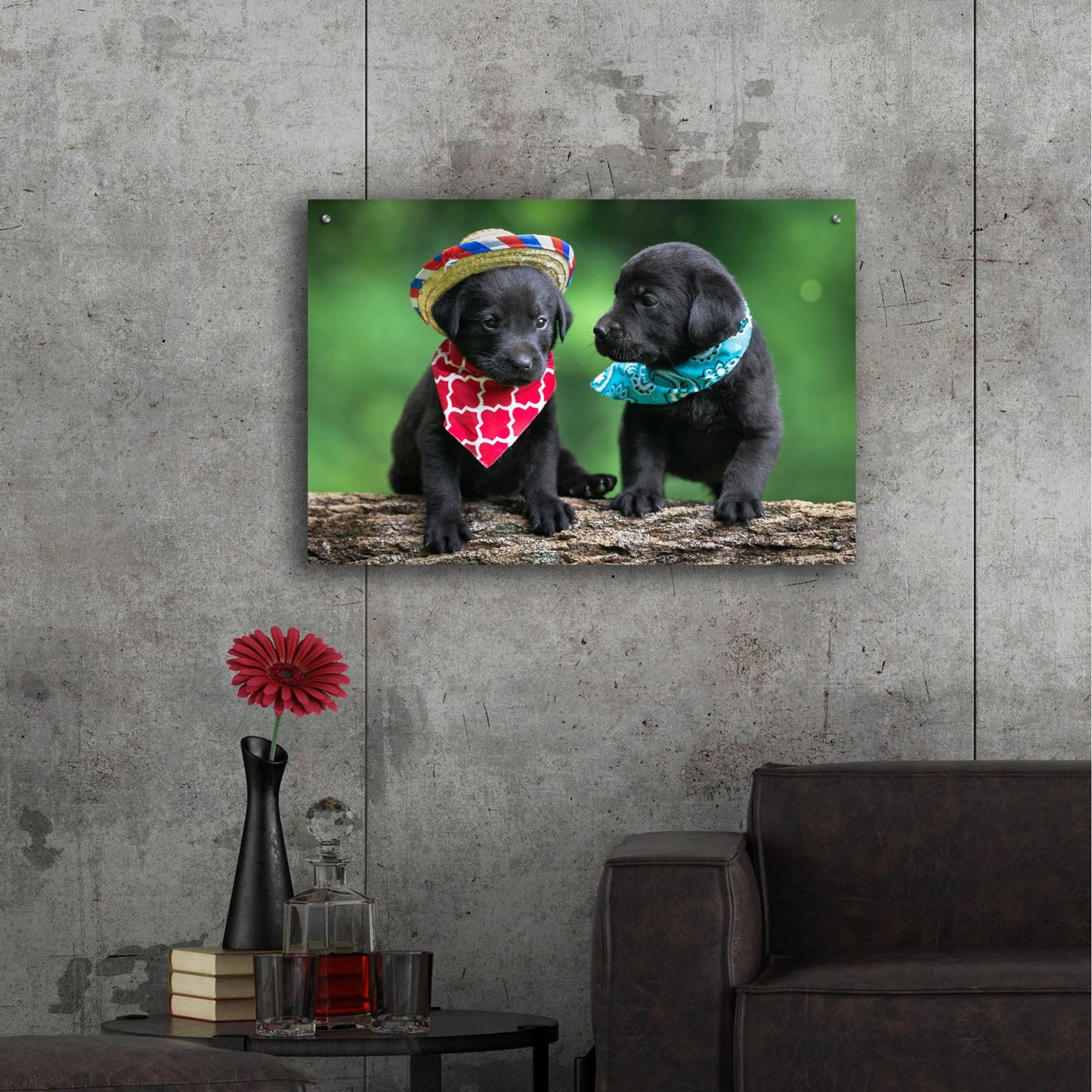 Epic Art 'Black Lab Pups 5' by Jonathan Ross, Acrylic Glass Wall Art,36x24
