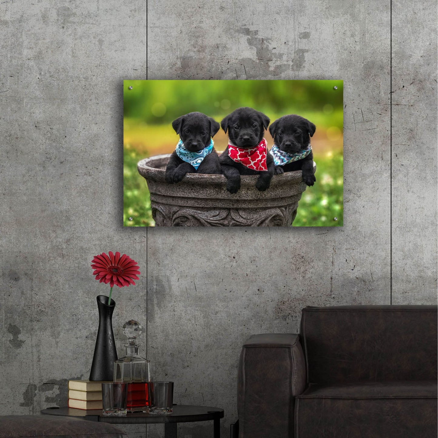 Epic Art 'Black Lab Pups 8' by Jonathan Ross, Acrylic Glass Wall Art,36x24