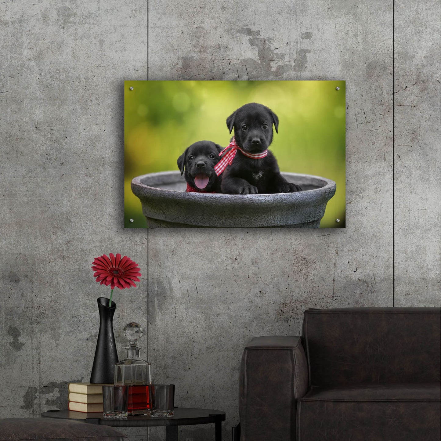 Epic Art 'Black Lab Pups 9' by Jonathan Ross, Acrylic Glass Wall Art,36x24