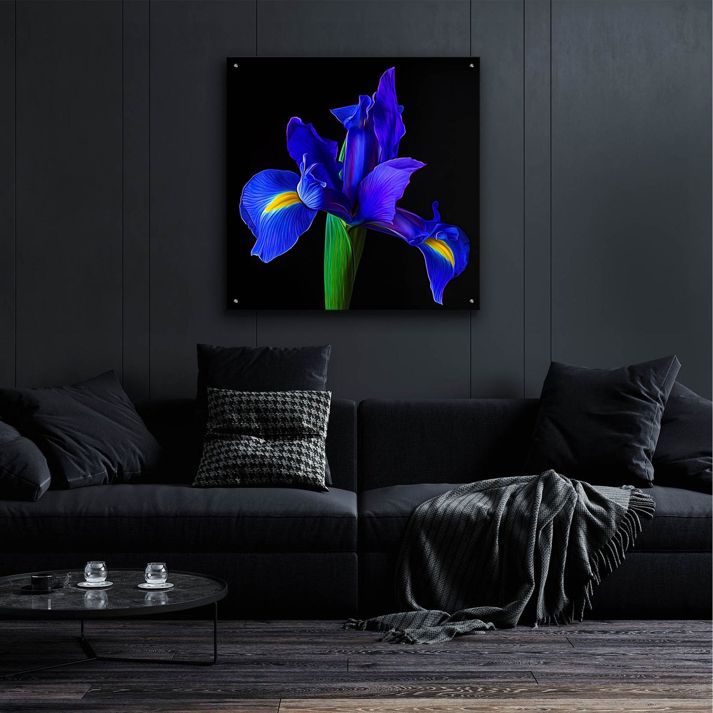 Epic Art 'Blue Iris' by Pamela Plummer, Acrylic Glass Wall Art,36x36