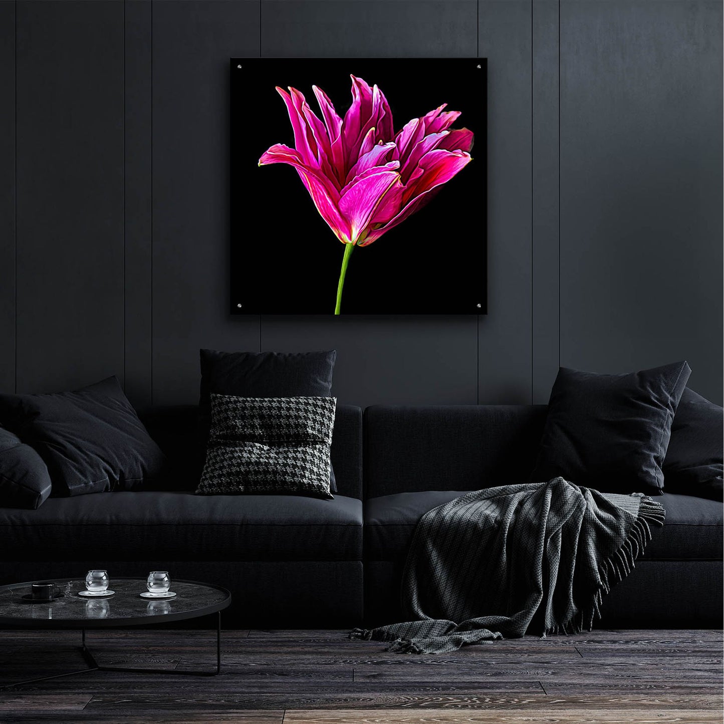 Epic Art 'Miss Lily Midnight' by Pamela Plummer, Acrylic Glass Wall Art,36x36