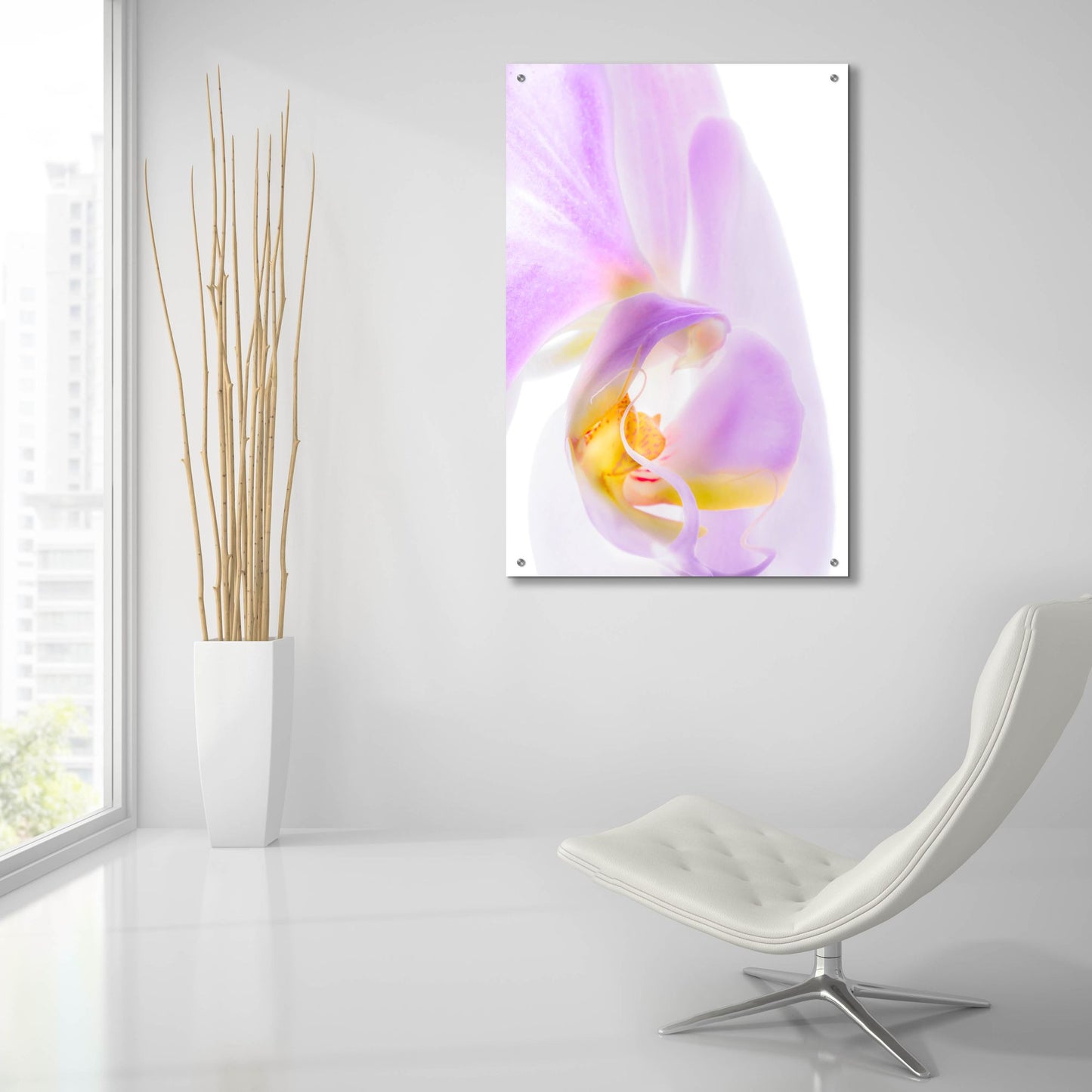 Epic Art 'Phalaenopsis Orchid' by Pamela Plummer, Acrylic Glass Wall Art,24x36