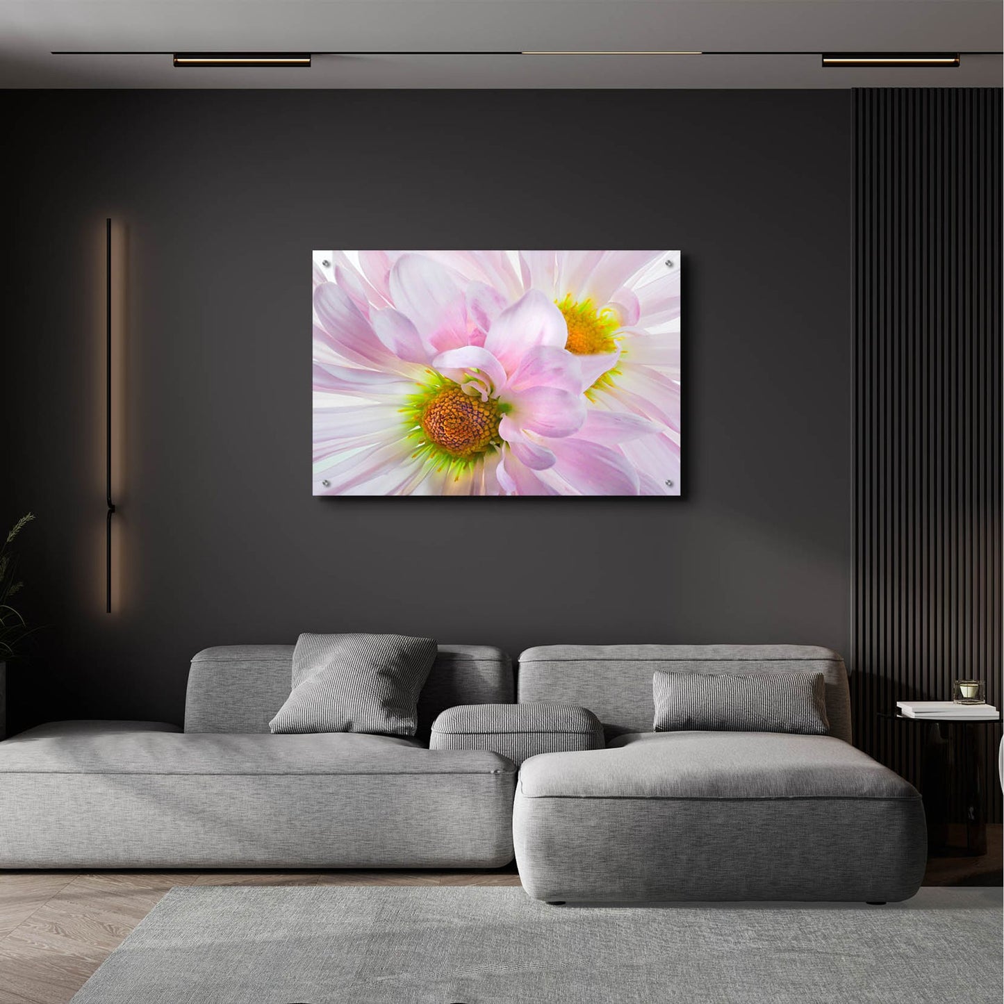 Epic Art 'Pink Daisys' by Pamela Plummer, Acrylic Glass Wall Art,36x24
