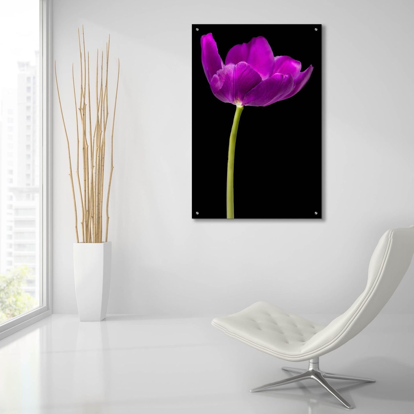 Epic Art 'Purple Tulip Glow' by Pamela Plummer, Acrylic Glass Wall Art,24x36