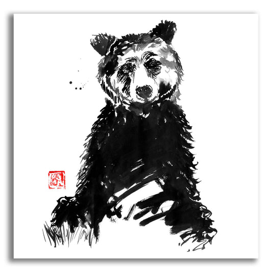 Epic Art 'Bear 2' by Pechane, Acrylic Glass Wall Art