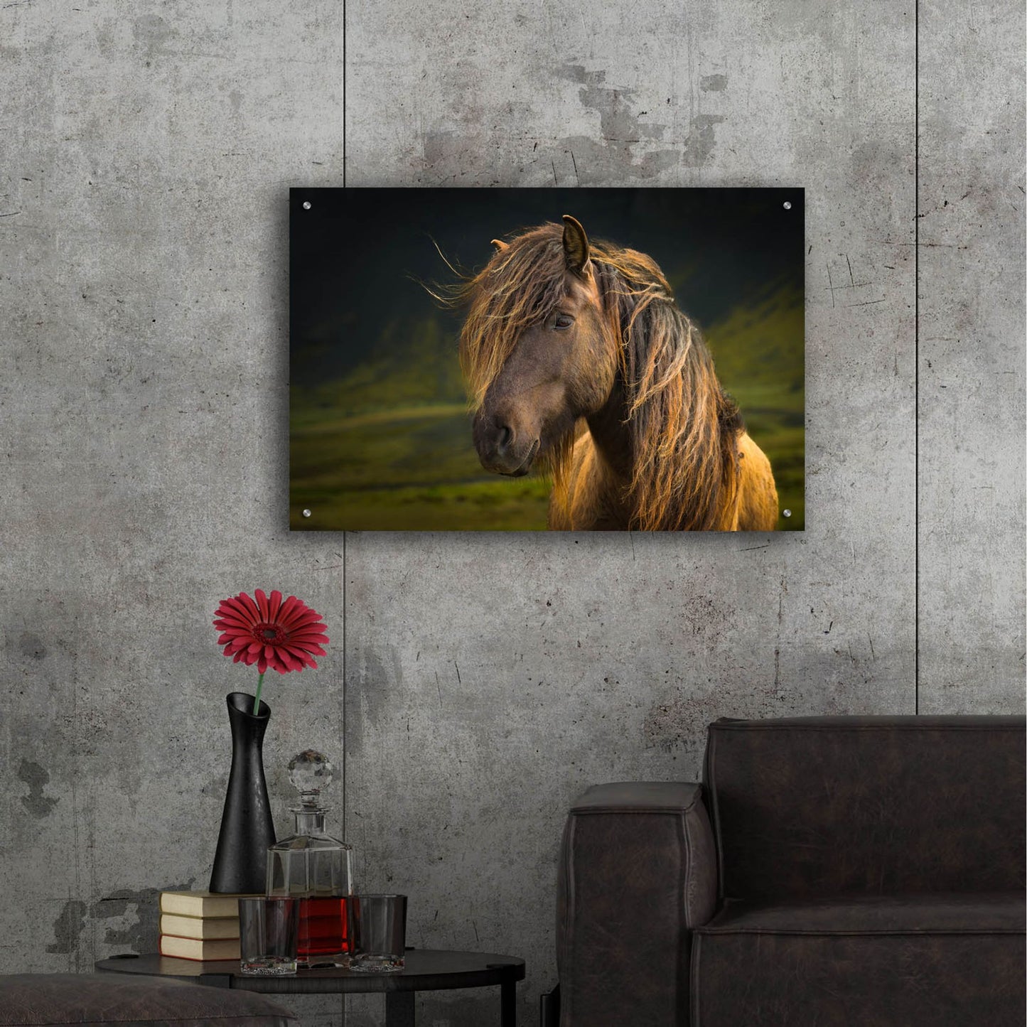 Epic Art ' Born To Be Wild' by Anne Schneidersmann, Acrylic Glass Wall Art,36x24