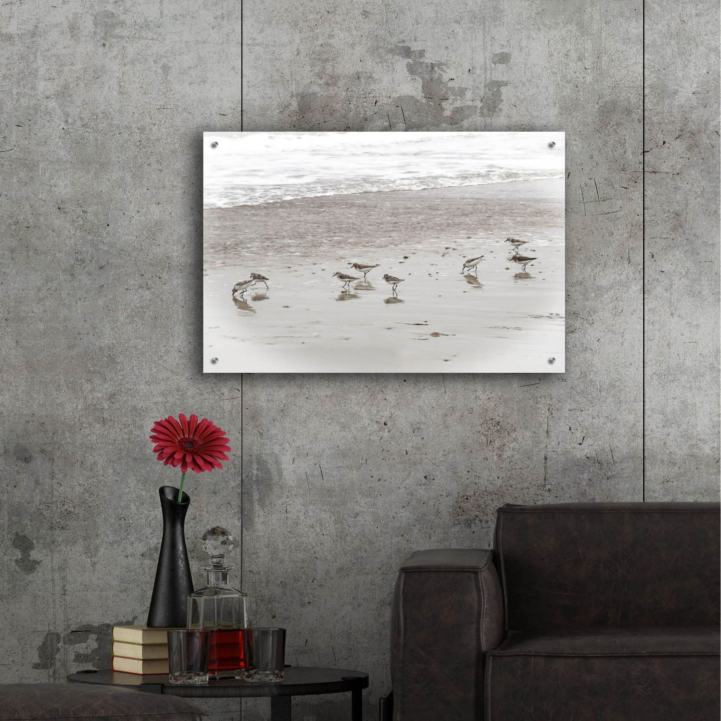 Epic Art ' Sandpipers' by Brooke T. Ryan, Acrylic Glass Wall Art,36x24