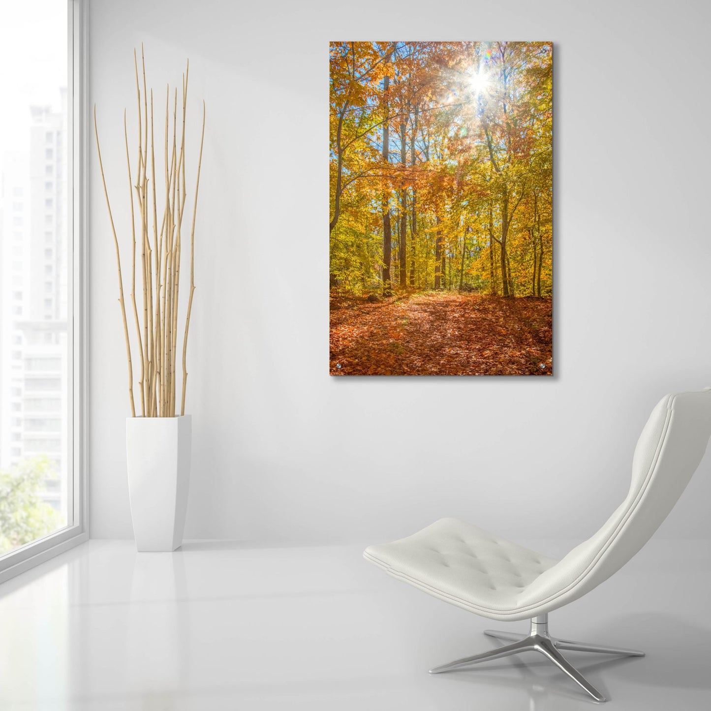 Epic Art ' Autumn Forest' by Brooke T. Ryan, Acrylic Glass Wall Art,24x36