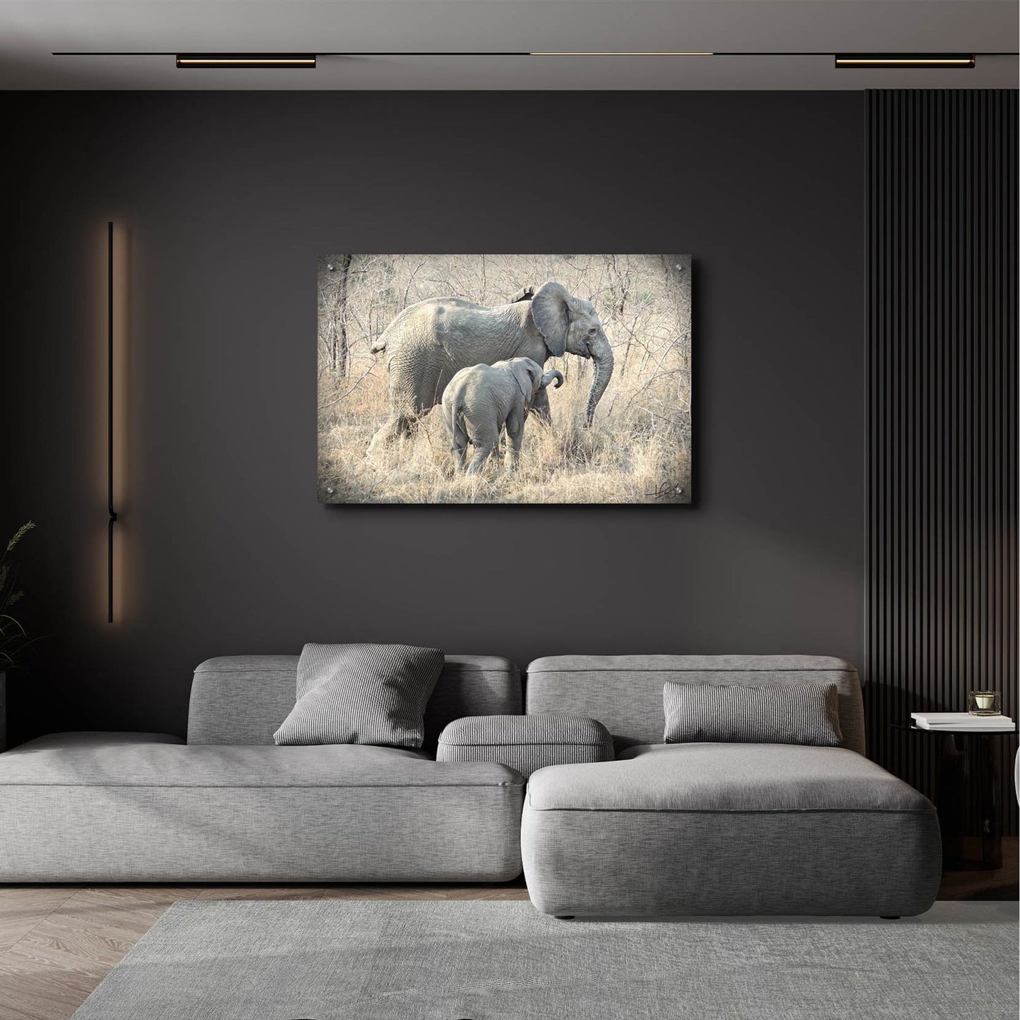 Epic Art ' Elephants' by Helene Sobol, Acrylic Glass Wall Art,36x24