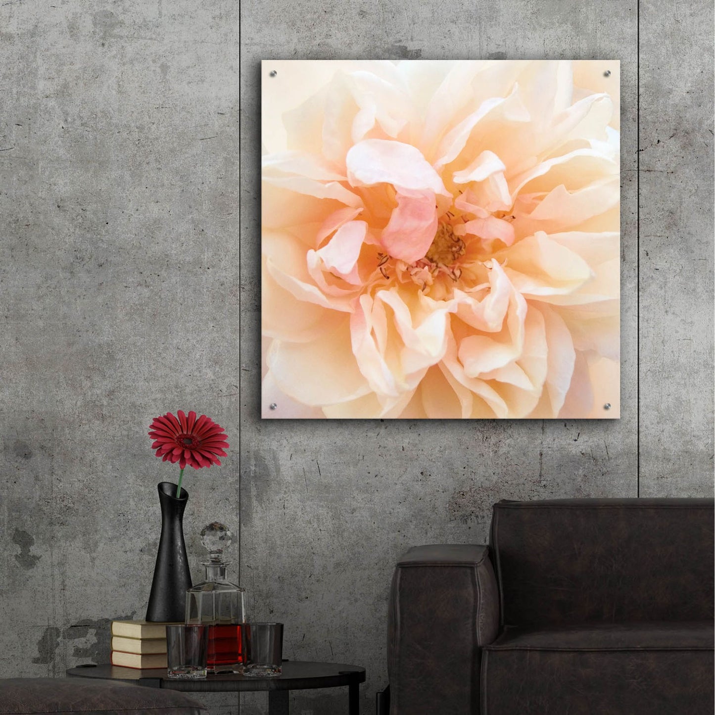 Epic Art ' Promise Rose' by Rebecca Swanson, Acrylic Glass Wall Art,36x36