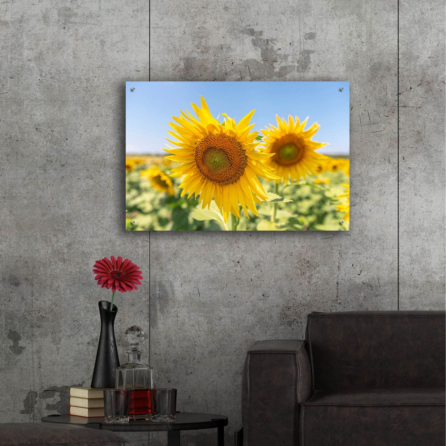 Epic Art ' Sunflowers II' by Richard Silver, Acrylic Glass Wall Art,36x24