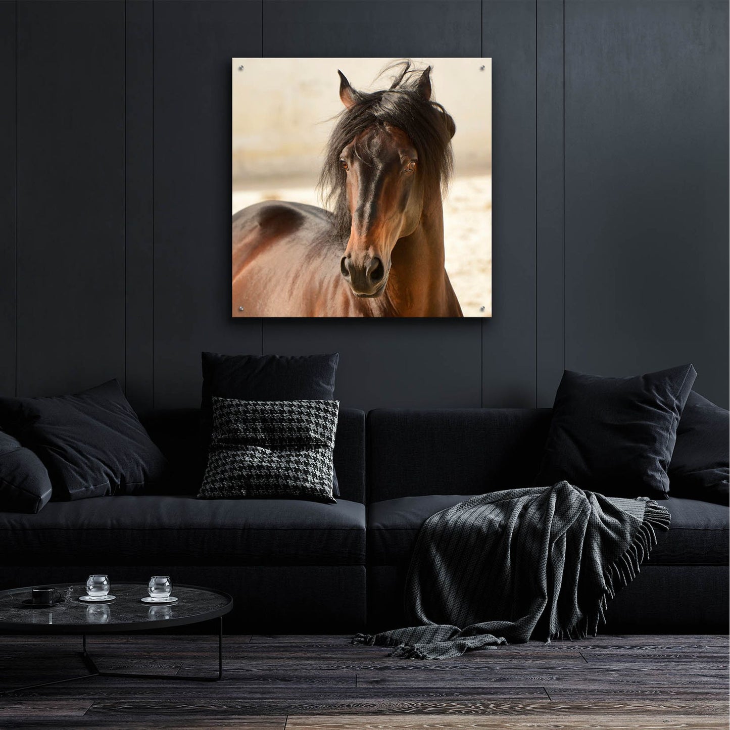 Epic Art ' Casanova' by Tony Stromberg, Acrylic Glass Wall Art,36x36