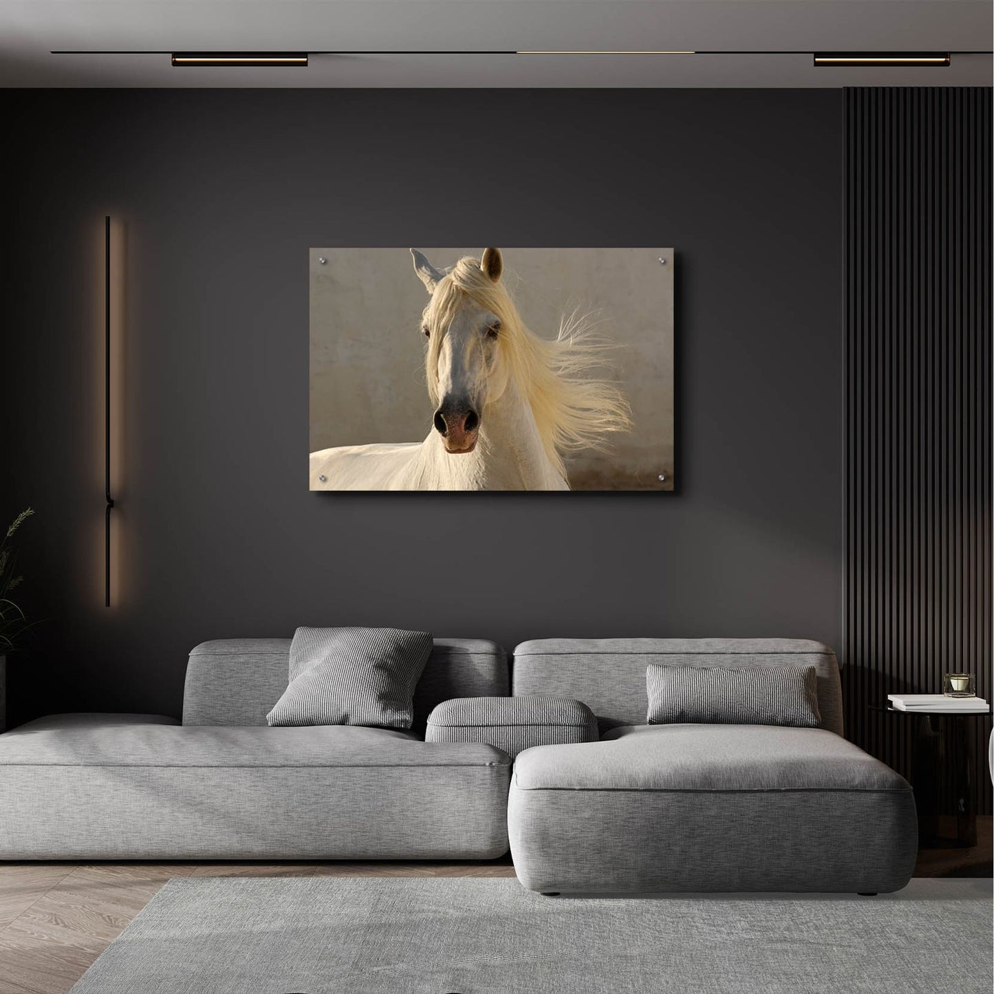 Epic Art ' Elegance' by Tony Stromberg, Acrylic Glass Wall Art,36x24
