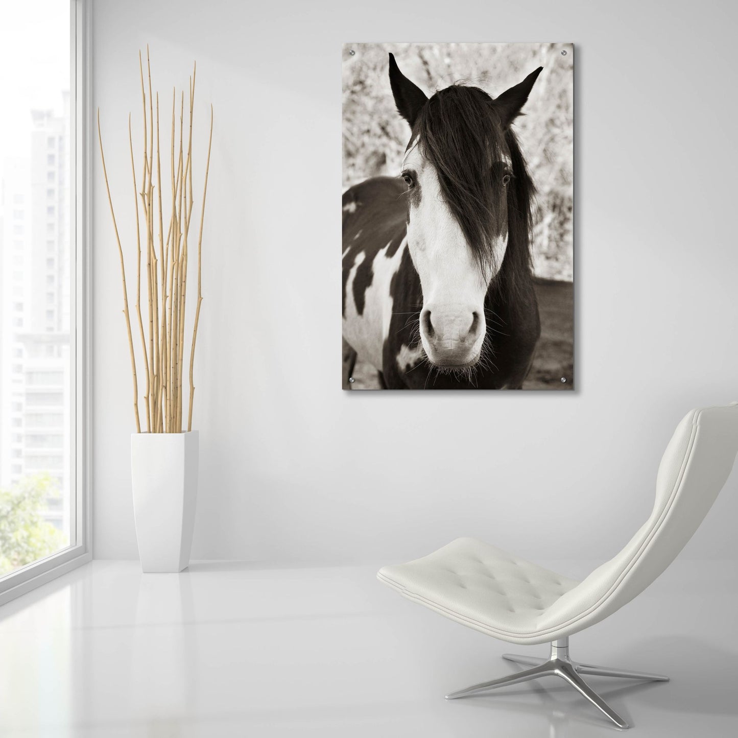 Epic Art ' Pale Eyed Stallion' by Traer Scott, Acrylic Glass Wall Art,24x36
