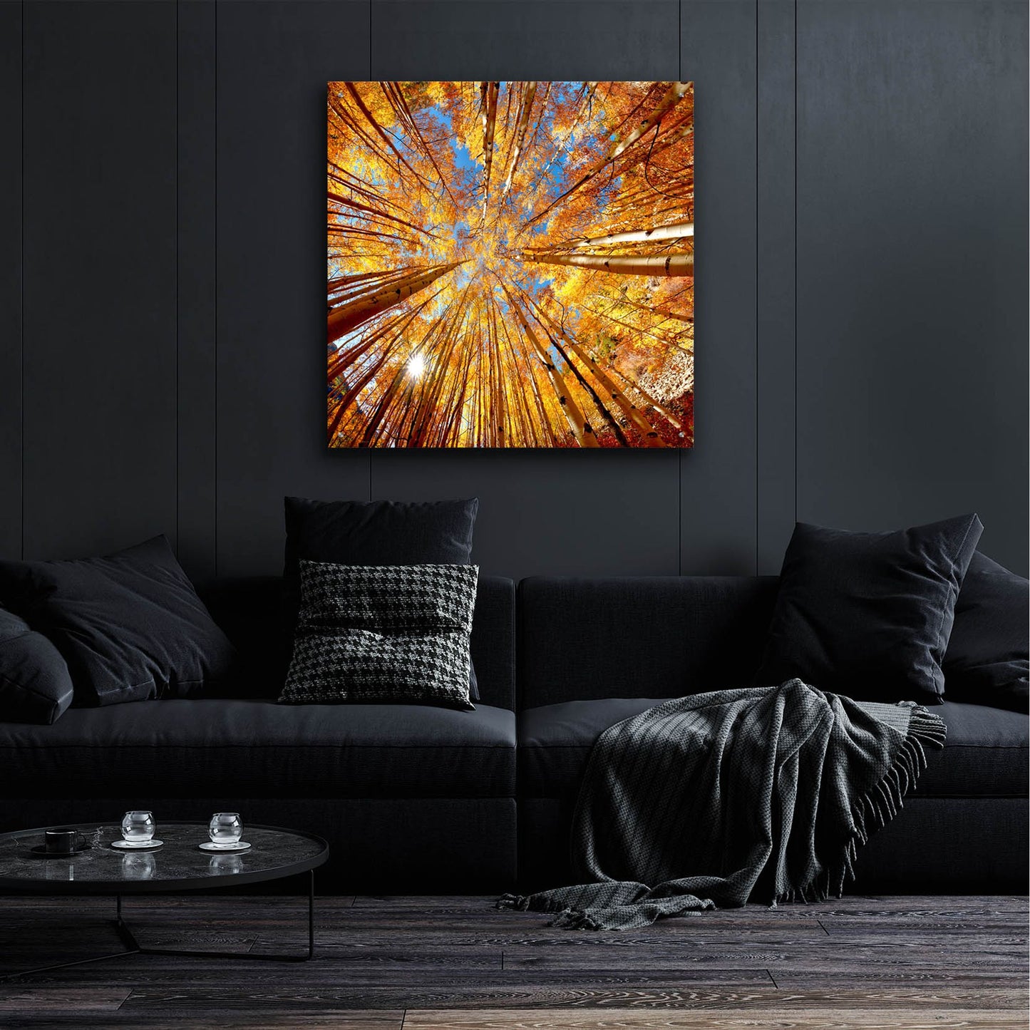 Epic Art 'Colorado Autumn Splendor' by Lena Owens, Acrylic Glass Wall Art,36x36